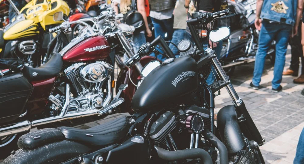 Bikes, BBQ, Bromigos