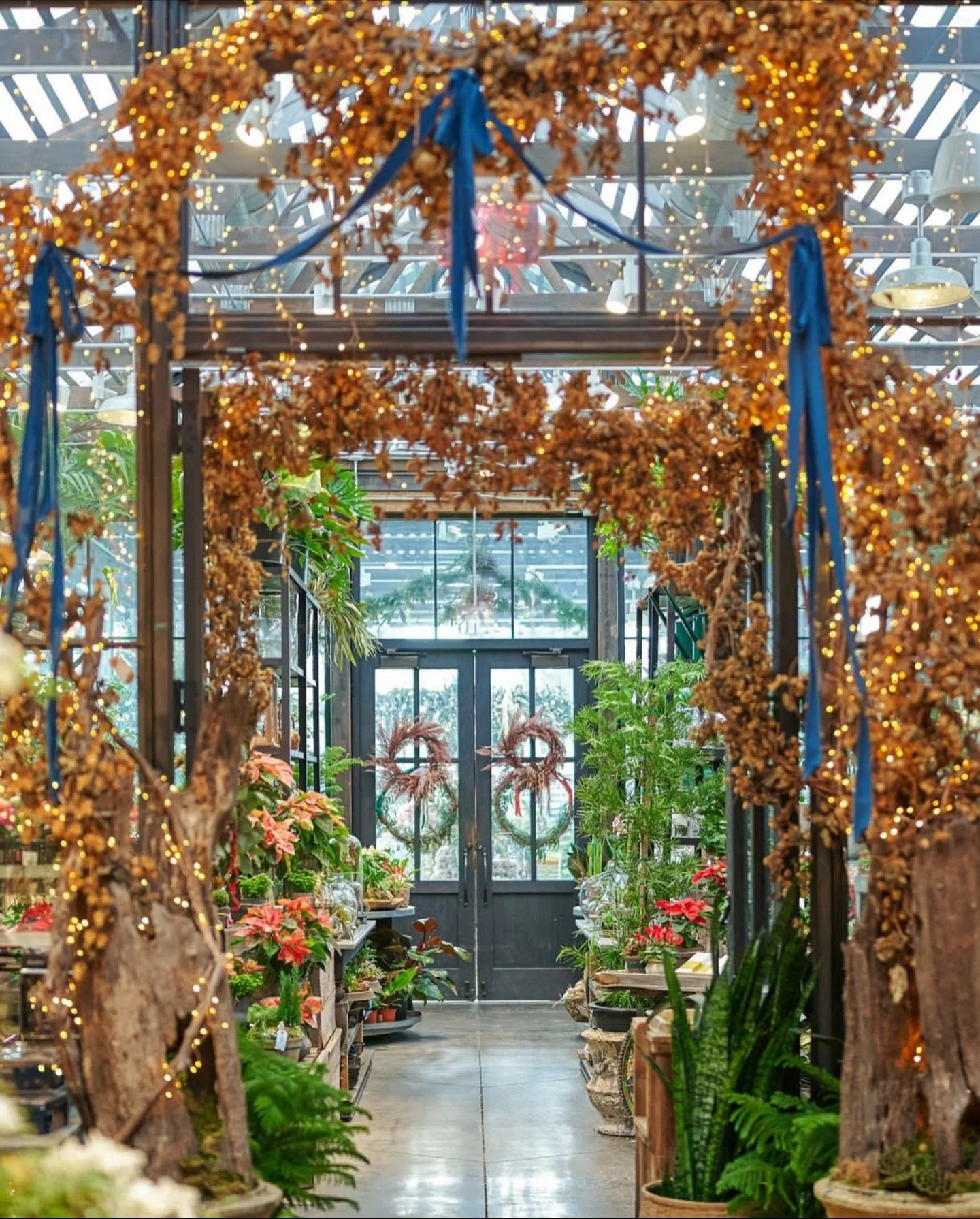 Throwback to last year, one of my favorite displays I created for @shopterrain. Dried fresh hops that flowed into large tree stumps, covered in twinkle lights and my favorite elegant drooping velvet bows.

I&rsquo;ve been a long time fan of Mary Port
