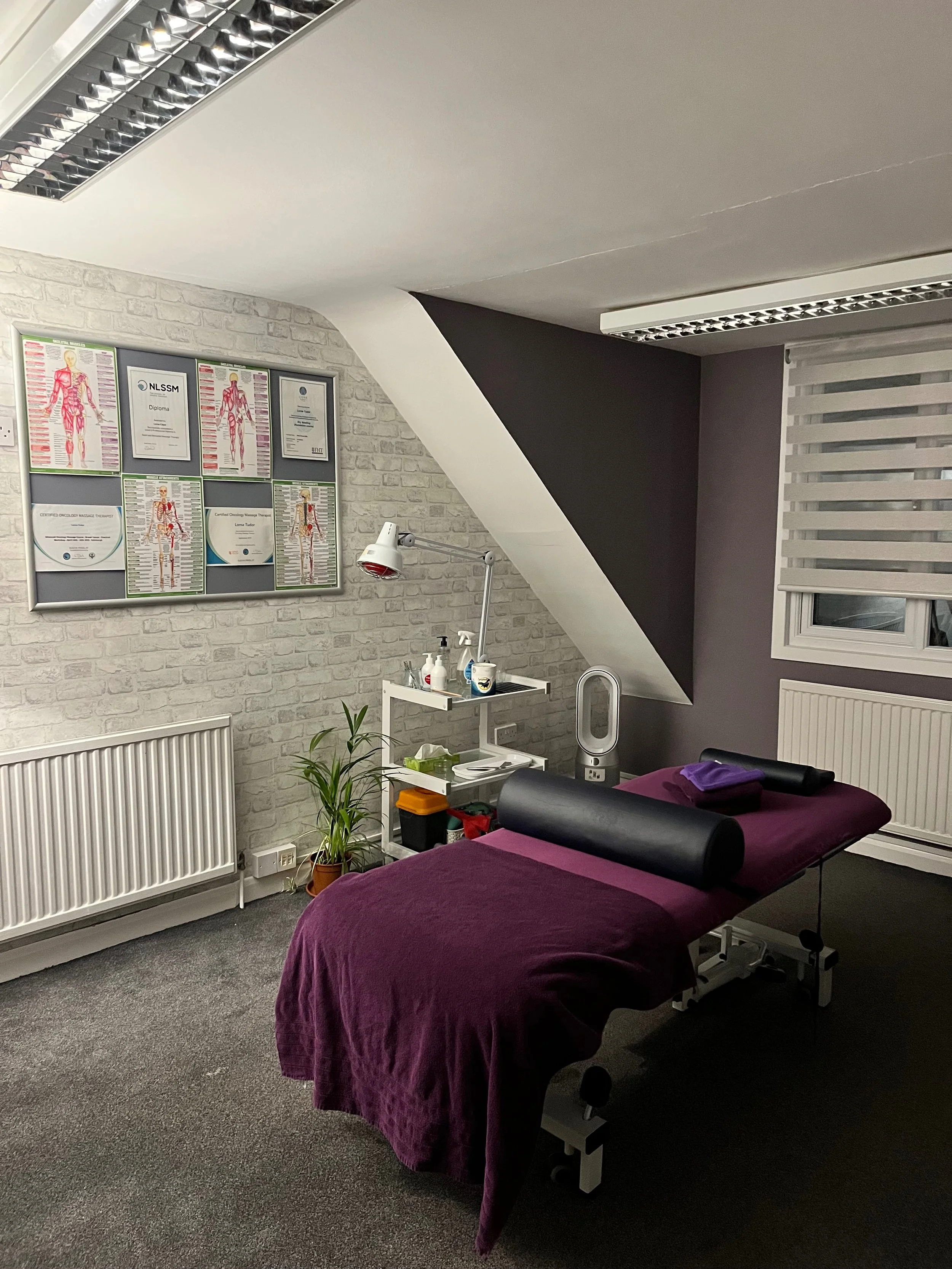 Massage & Movement Therapy Centre