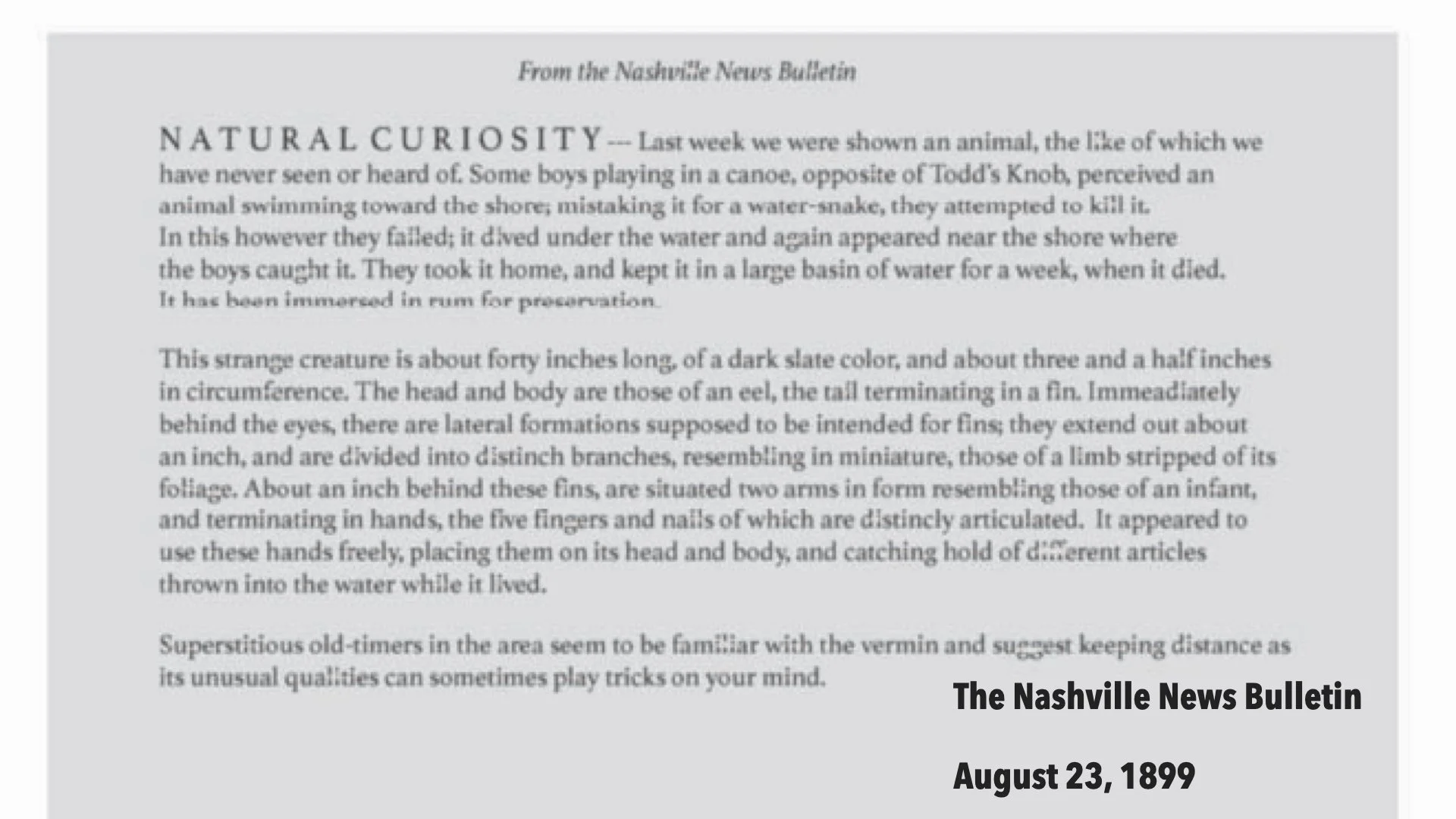 March 2026 Knoblin Meeting.009.jpeg