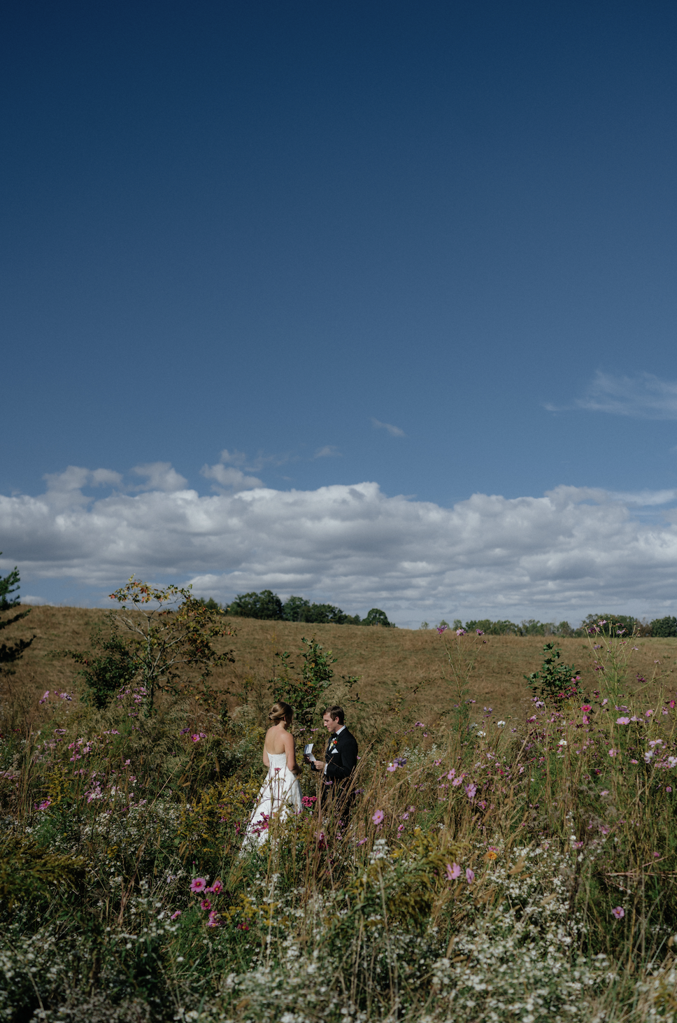 A bride and groom exchanging vows in a field with wildflowers under a blue sky with scattered clouds.