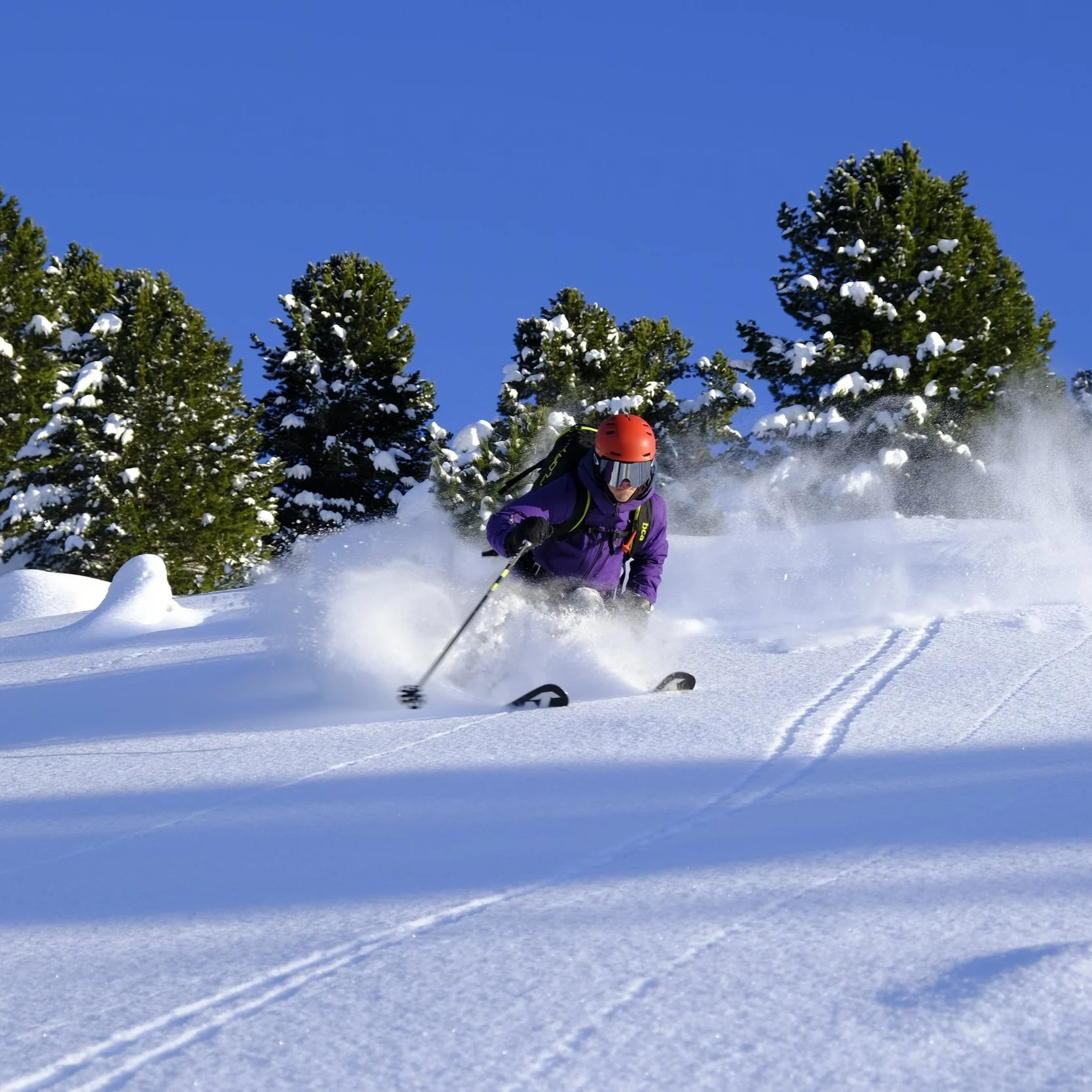Freeride