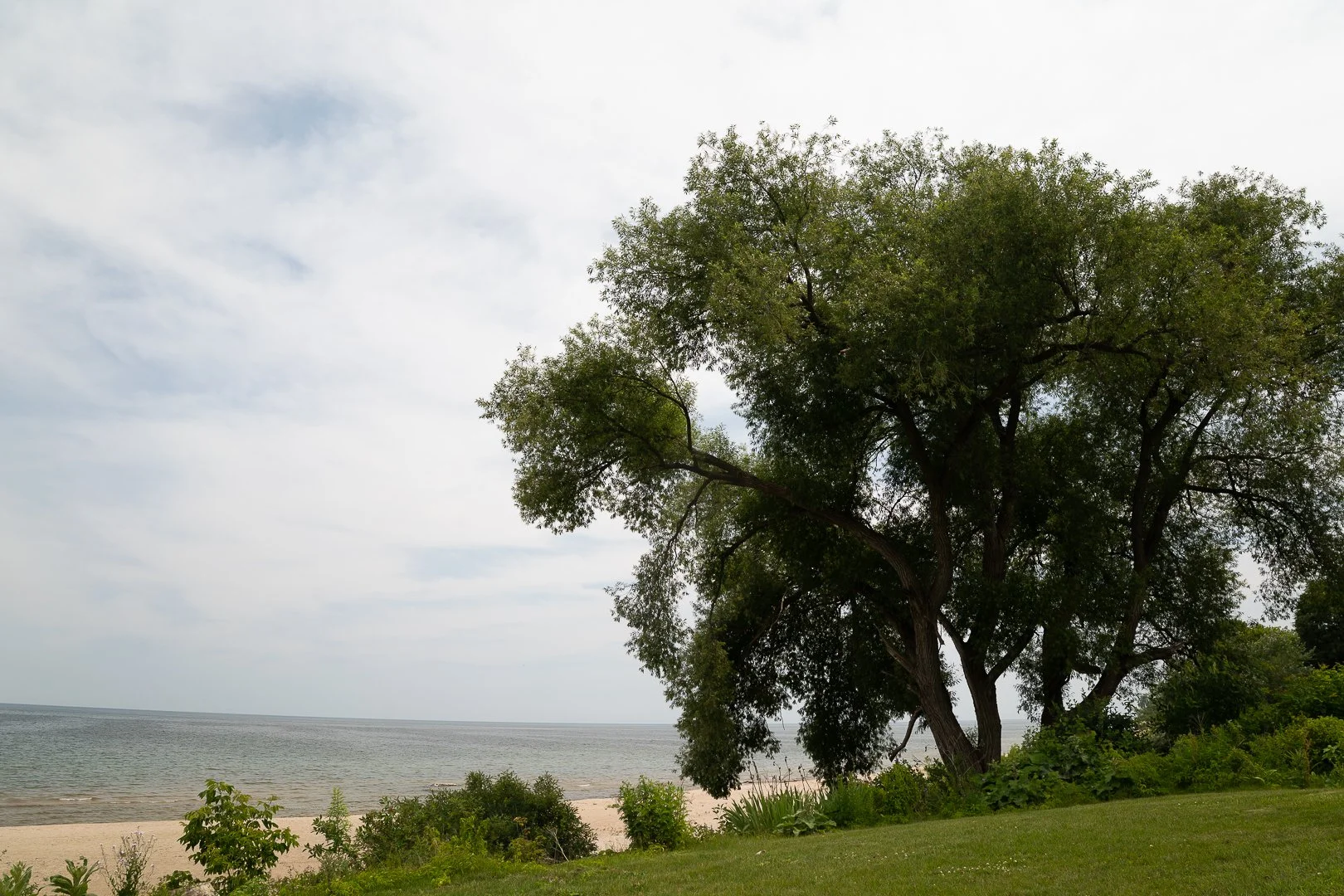 DSC01995-Upscale.jpg