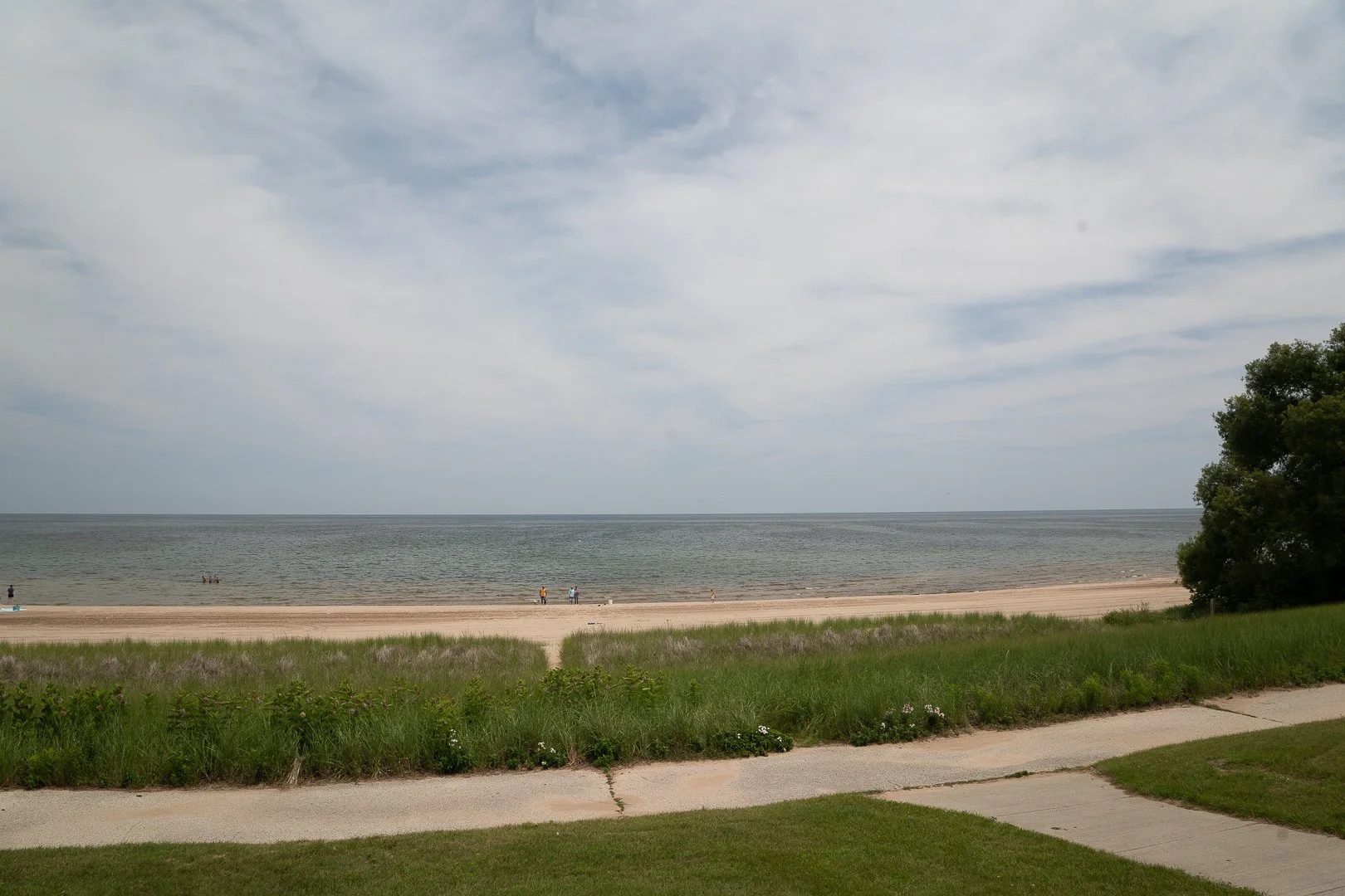DSC01943-Upscale.jpg