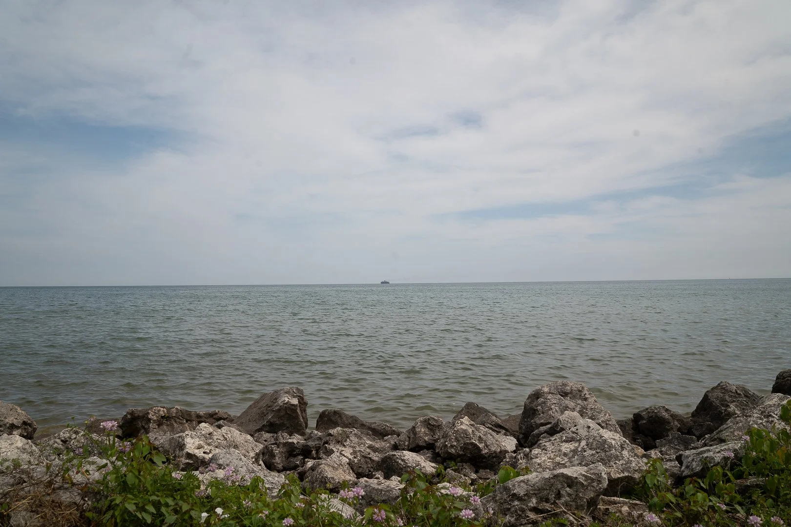 DSC02124-Upscale.jpg