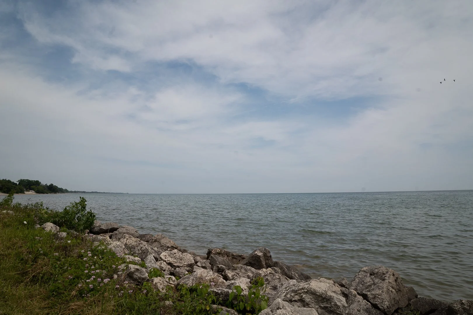 DSC02105-Upscale.jpg