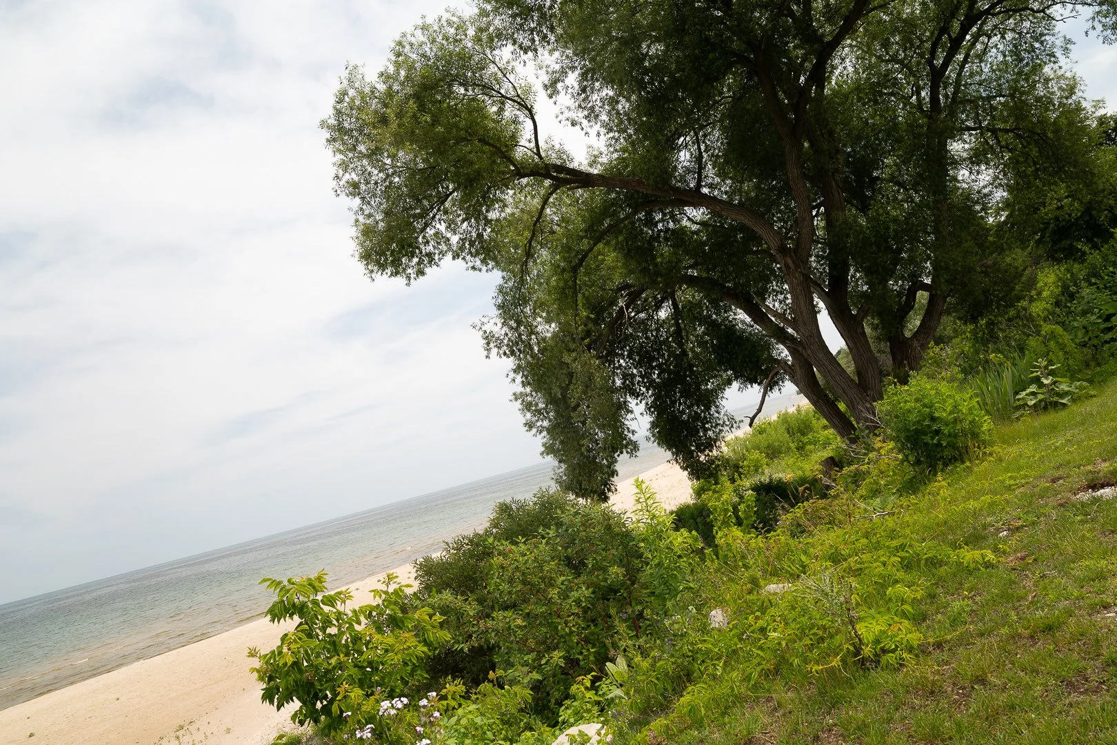 DSC02081-Upscale.jpg