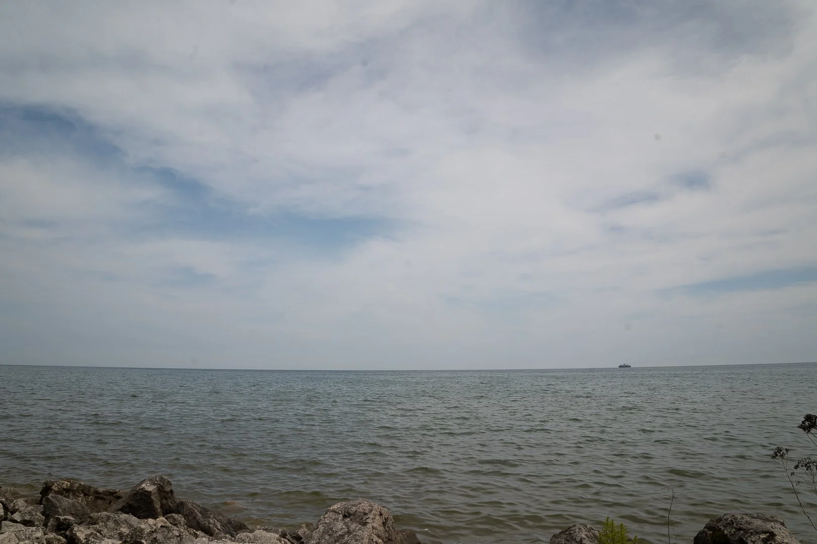 DSC02119-Upscale.jpg
