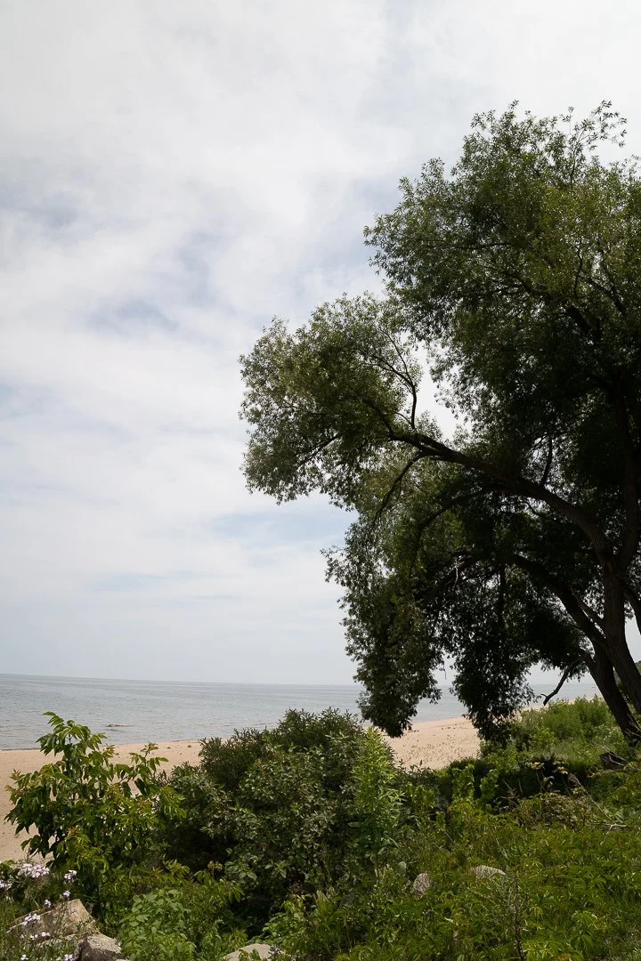 DSC02086-Upscale.jpg