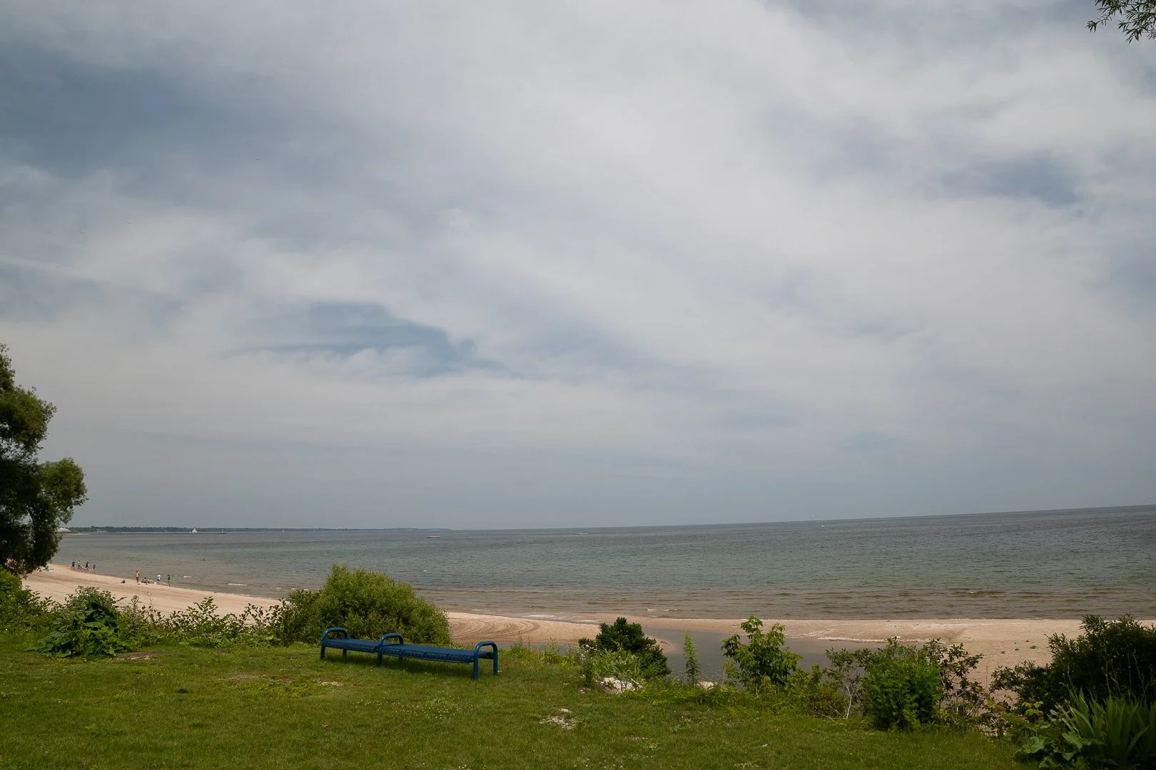 DSC02036-Upscale.jpg