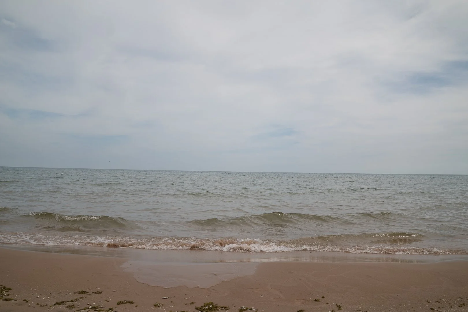 DSC02151-Upscale.jpg