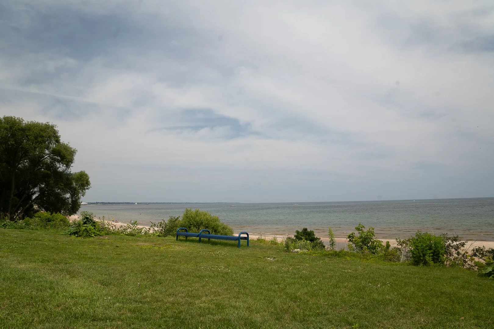 DSC02039-Upscale.jpg