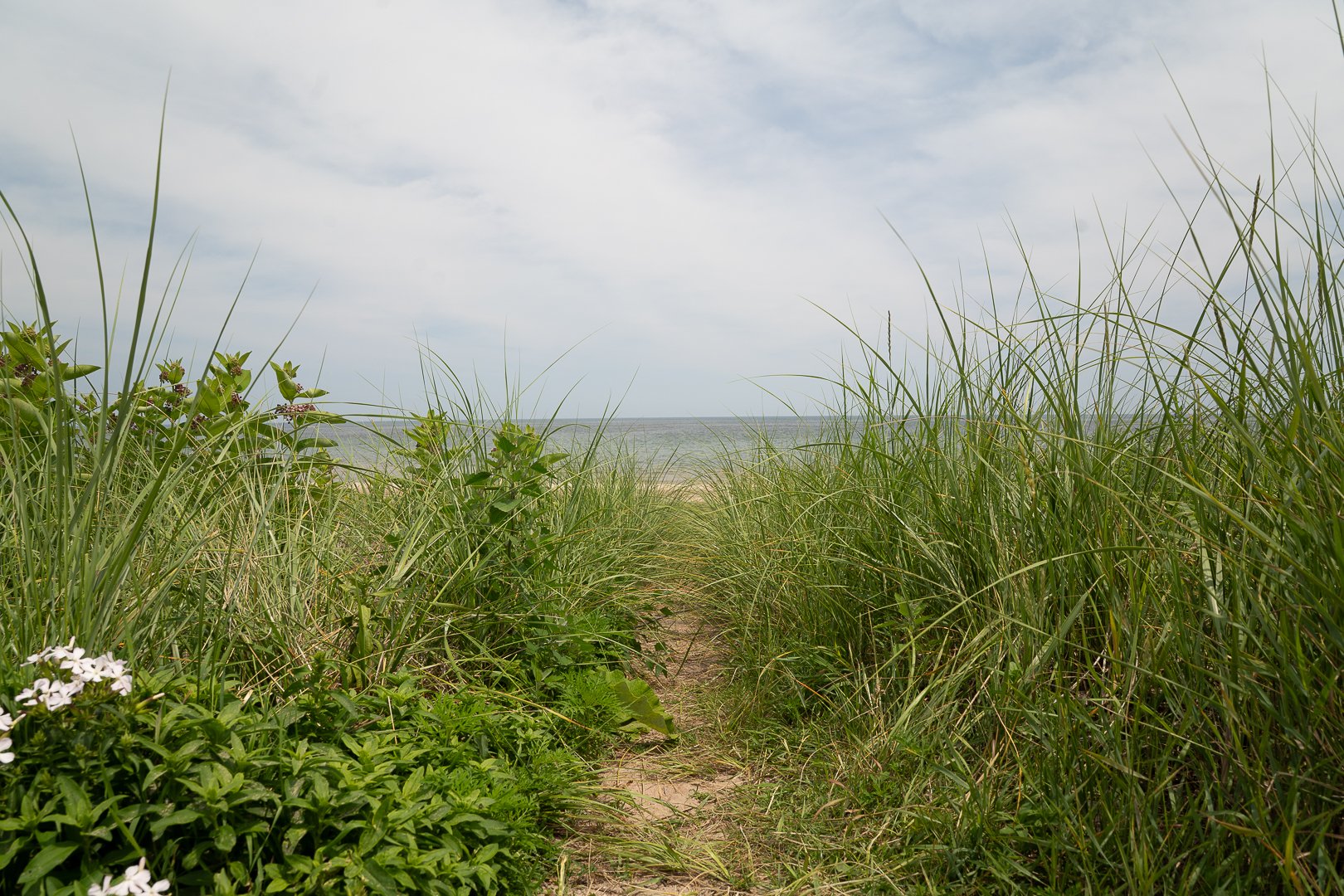 DSC01966-Upscale.jpg