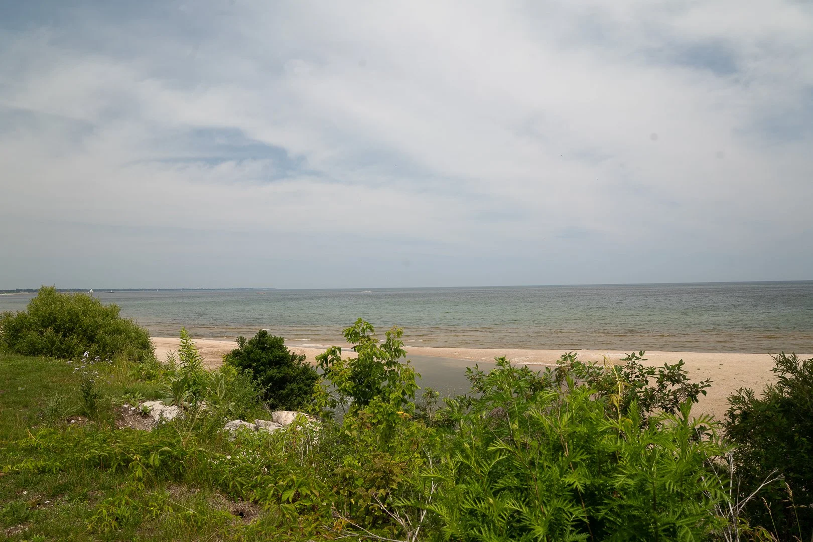 DSC02052-Upscale.jpg
