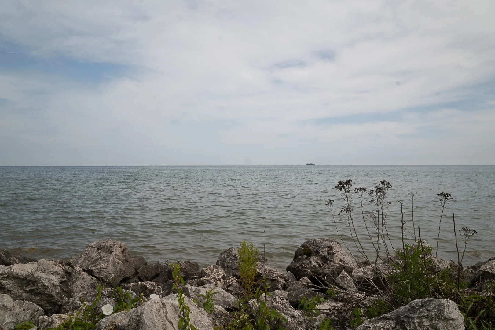 DSC02096-Upscale.jpg