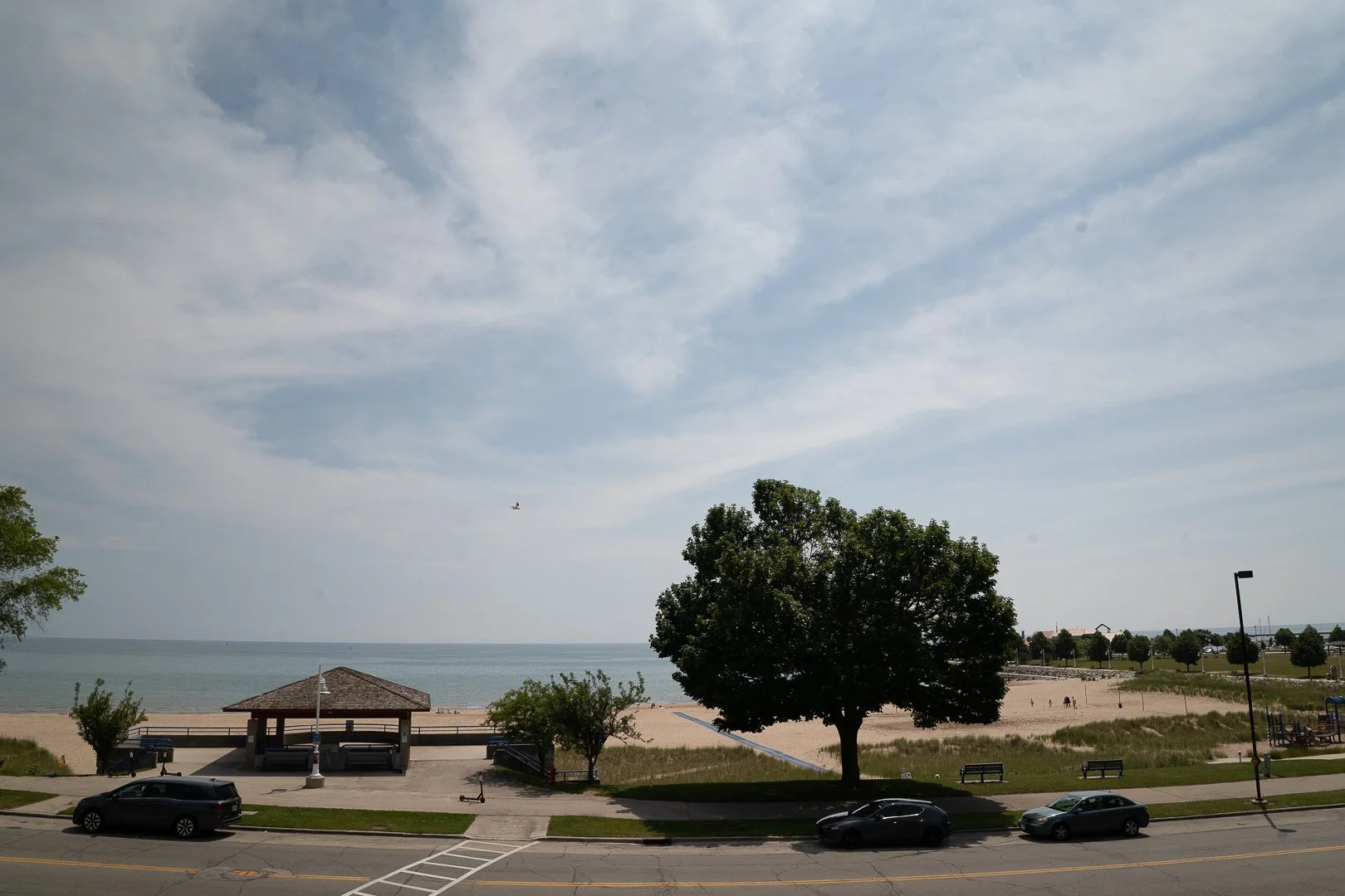 DSC01821-Upscale.jpg