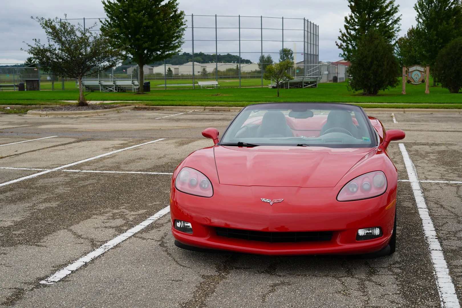 DSC09175.jpg
