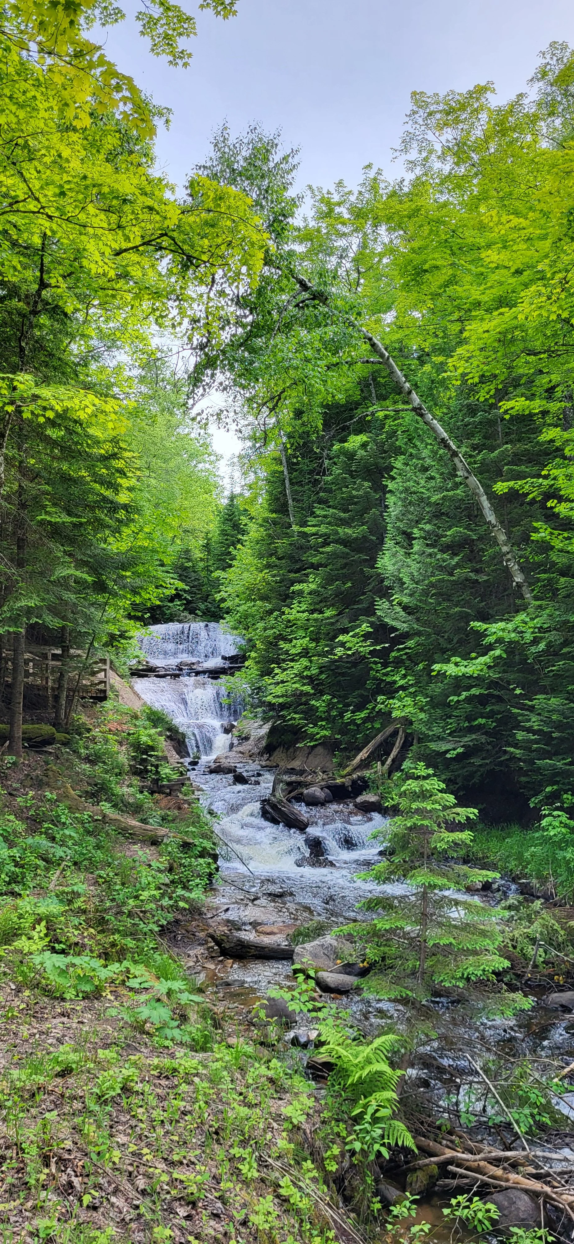 20240615_172428.jpg