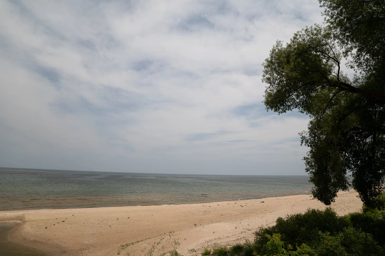 DSC02066-Upscale.jpg