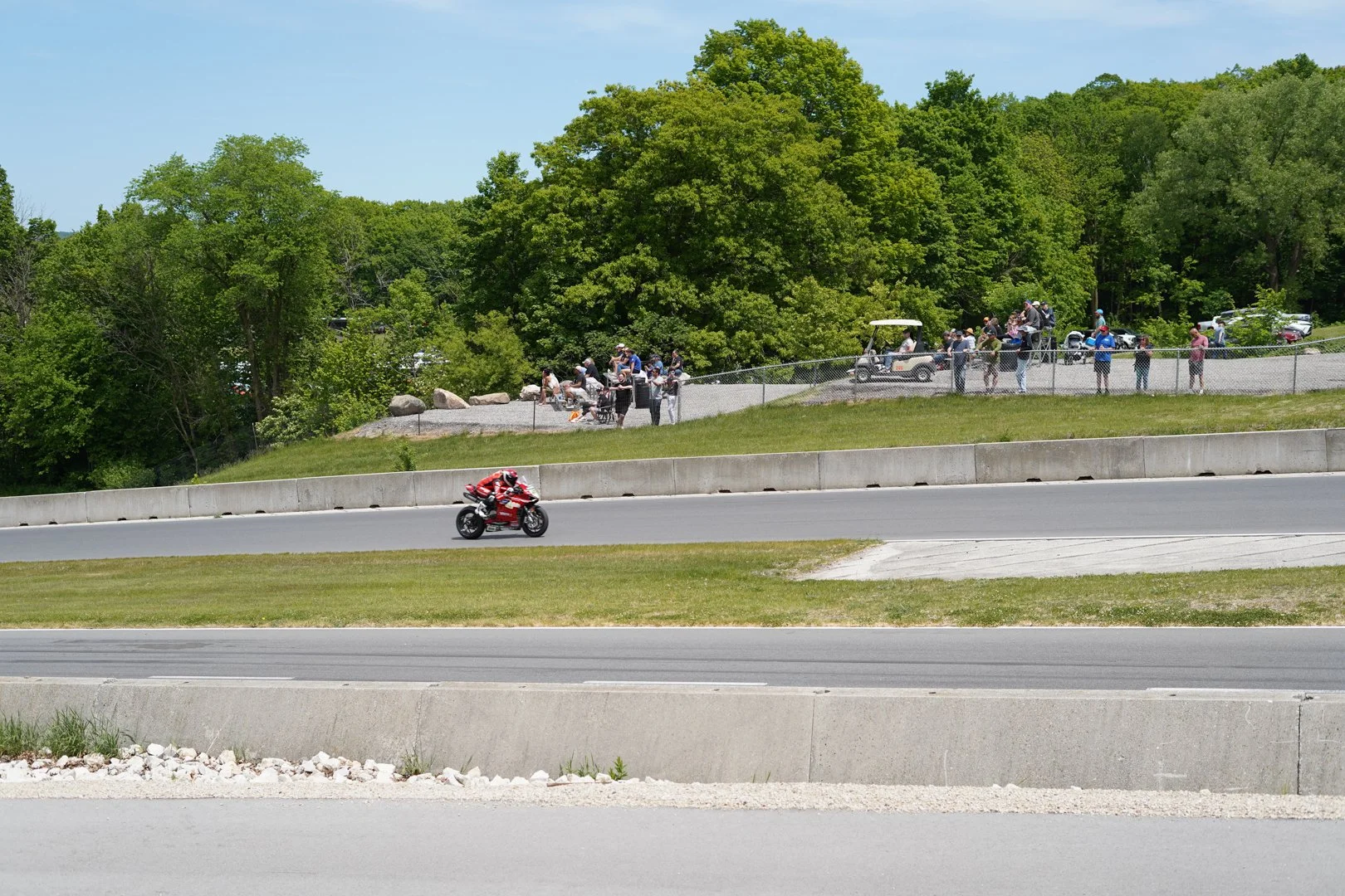 DSC05731.jpg