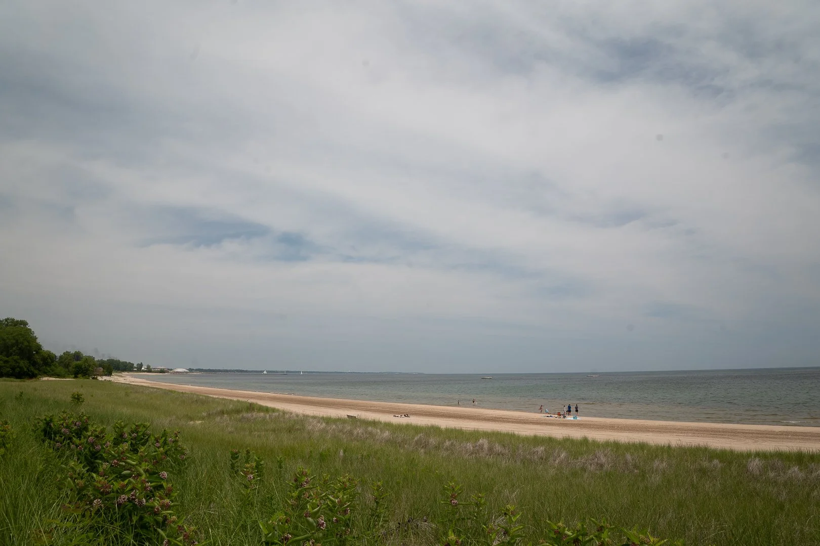 DSC01954-Upscale.jpg