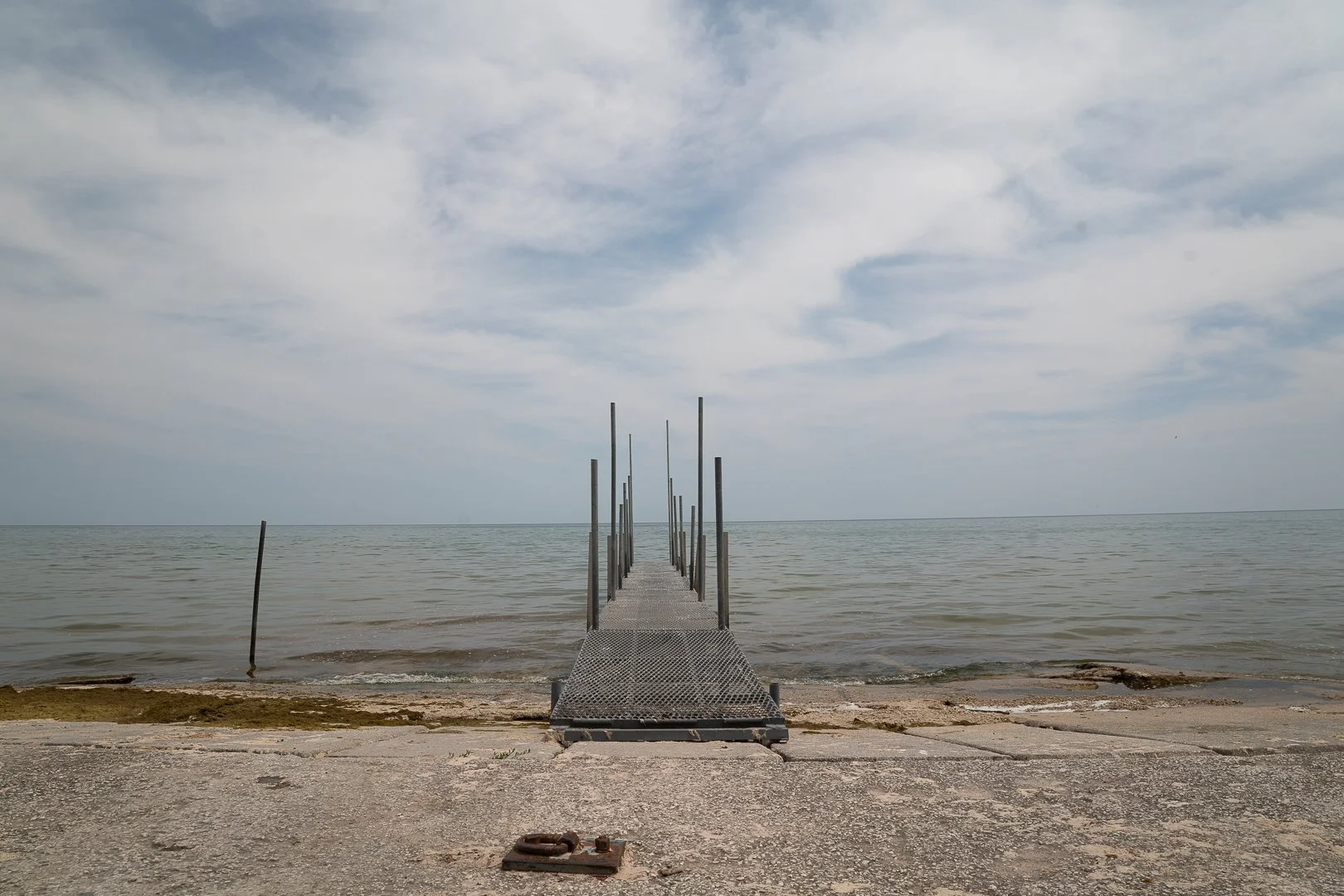 DSC01911-Upscale.jpg