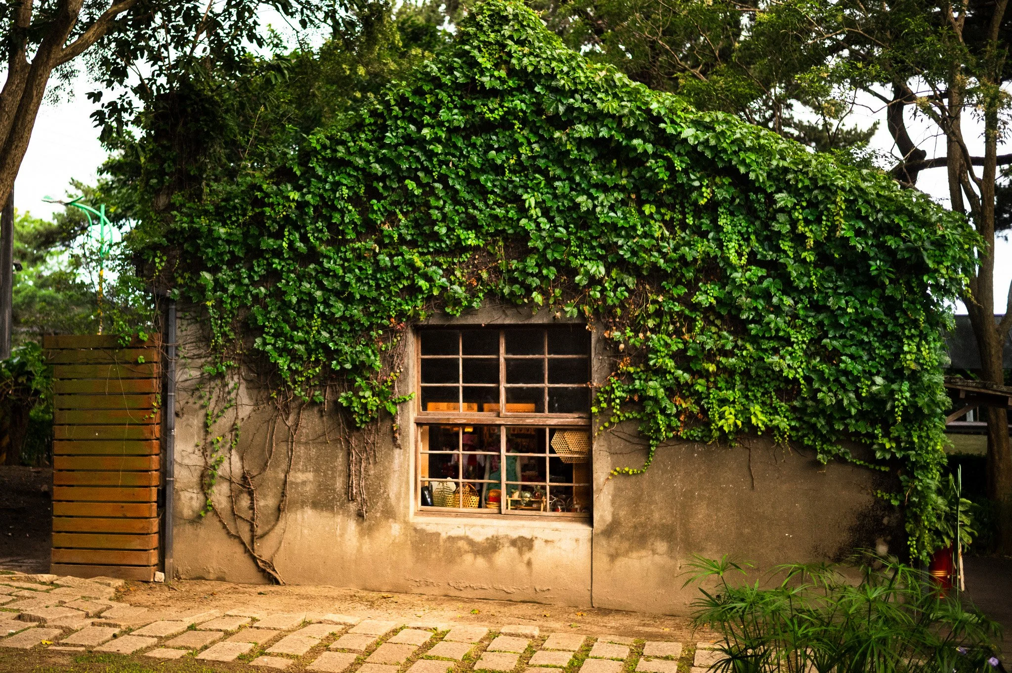framesbyseif.com gallery-3.jpg