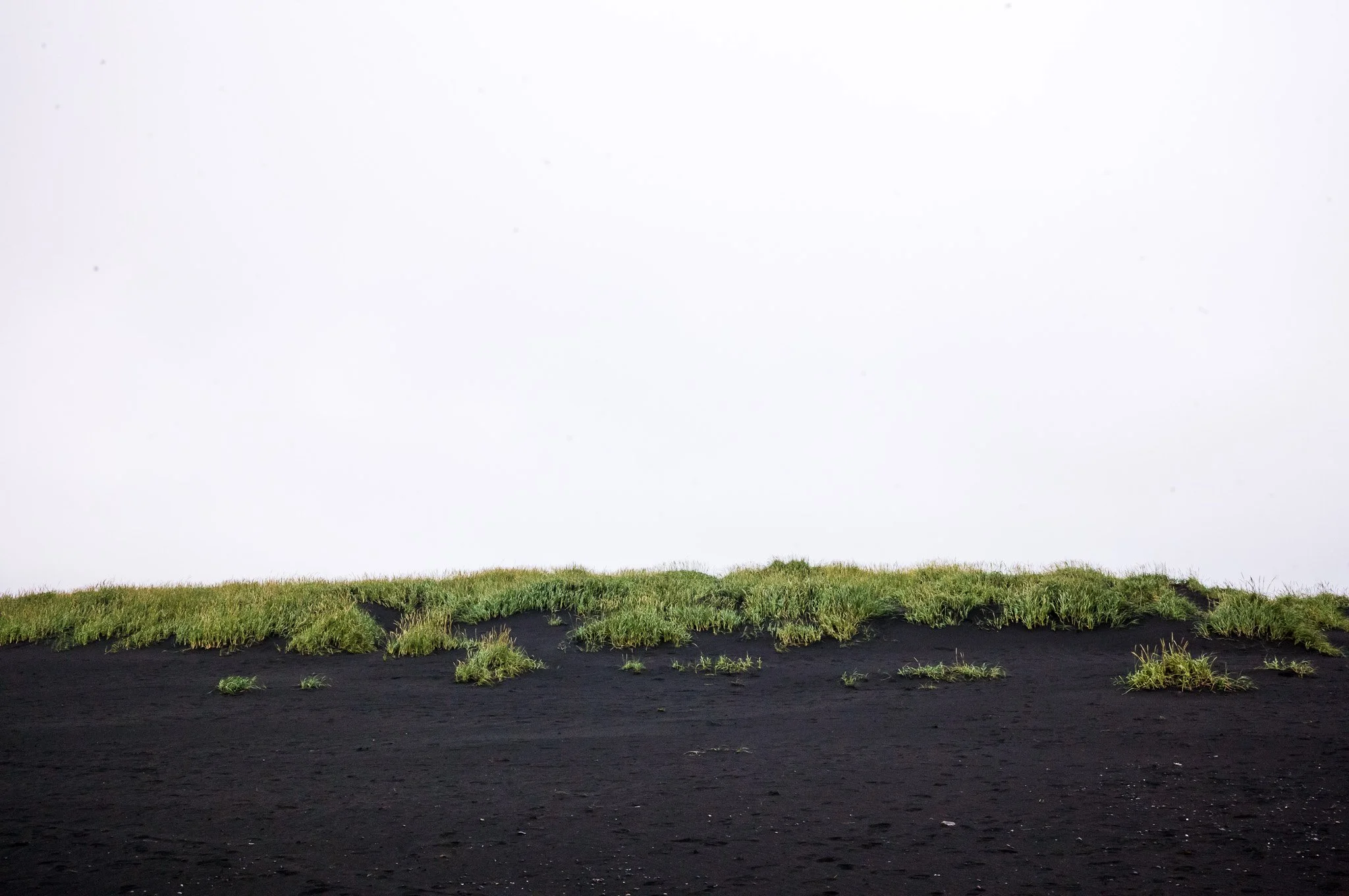 albedo project website-16.jpg
