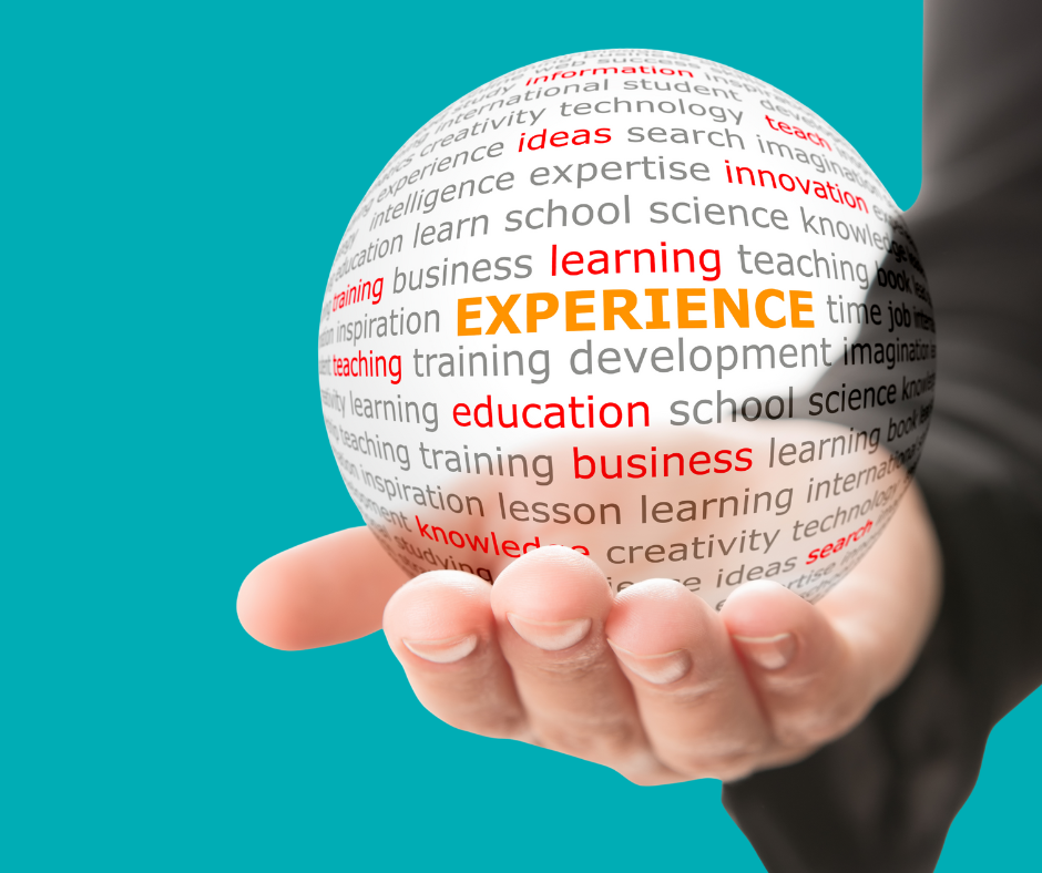 An SEO professional with a globe in hand suggesting plumbing industry expertise