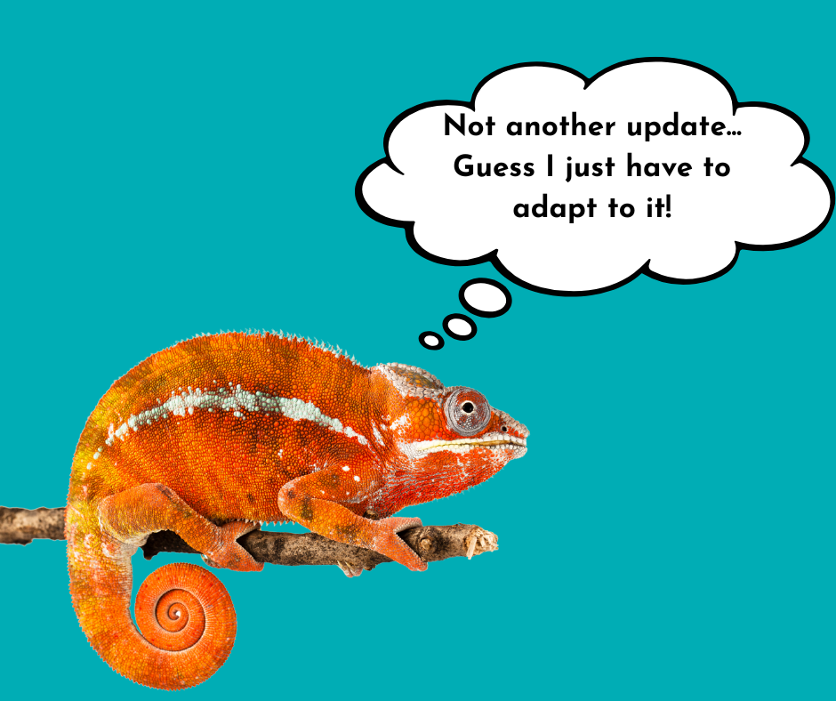 an seo expert is like a chameleon who can adopt to algorithm changes