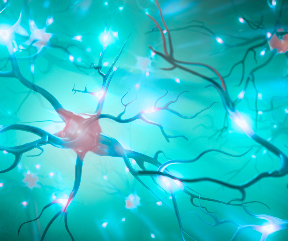 nerve signals dipecting how google uses external signals to perceive more about you. part of eeaT in seo