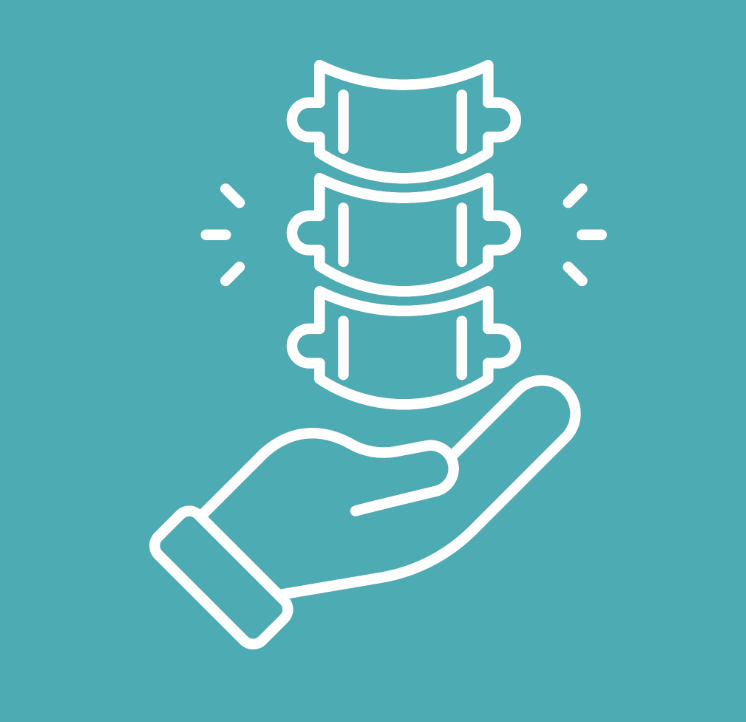 Graphic of a spine in a hand