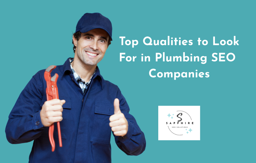 Plumber and the Sapphire SEO Solutions logo