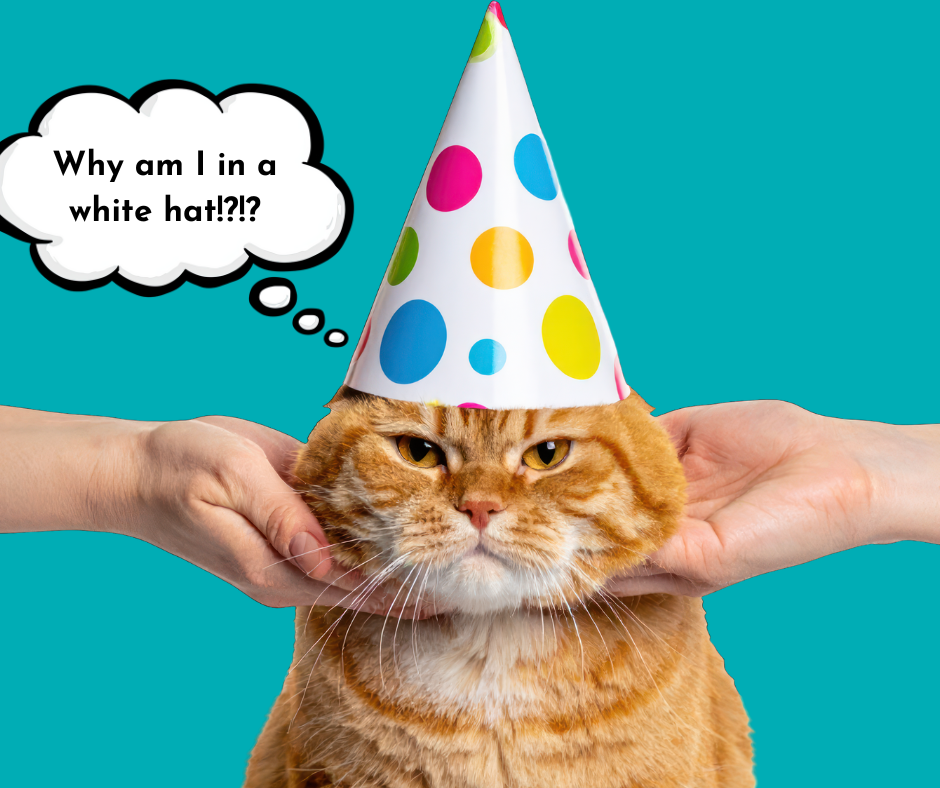 a cat wearing a white hat, suggesting white hat tactics for plumbing companies