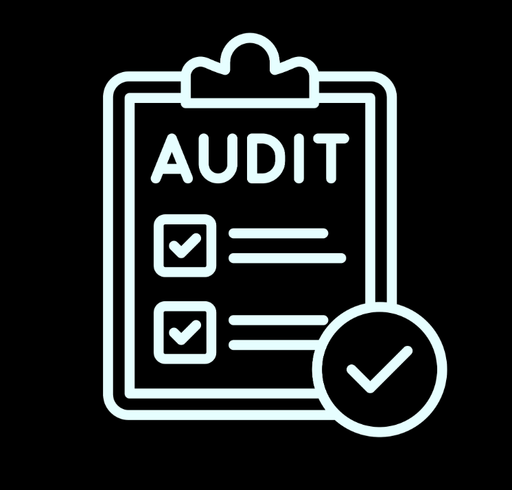 Graphic of an audit checklist