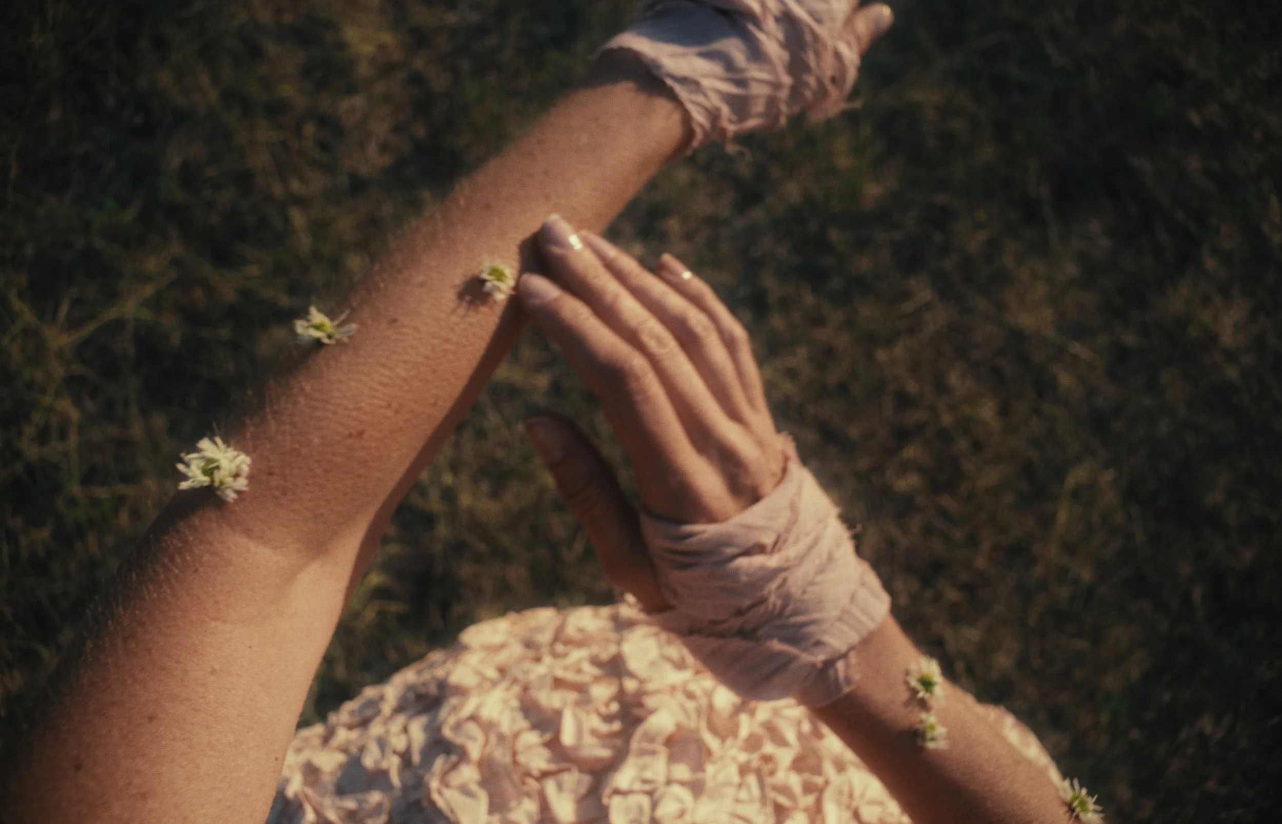 Still 2026-04-26 233249_1.1.1.jpg