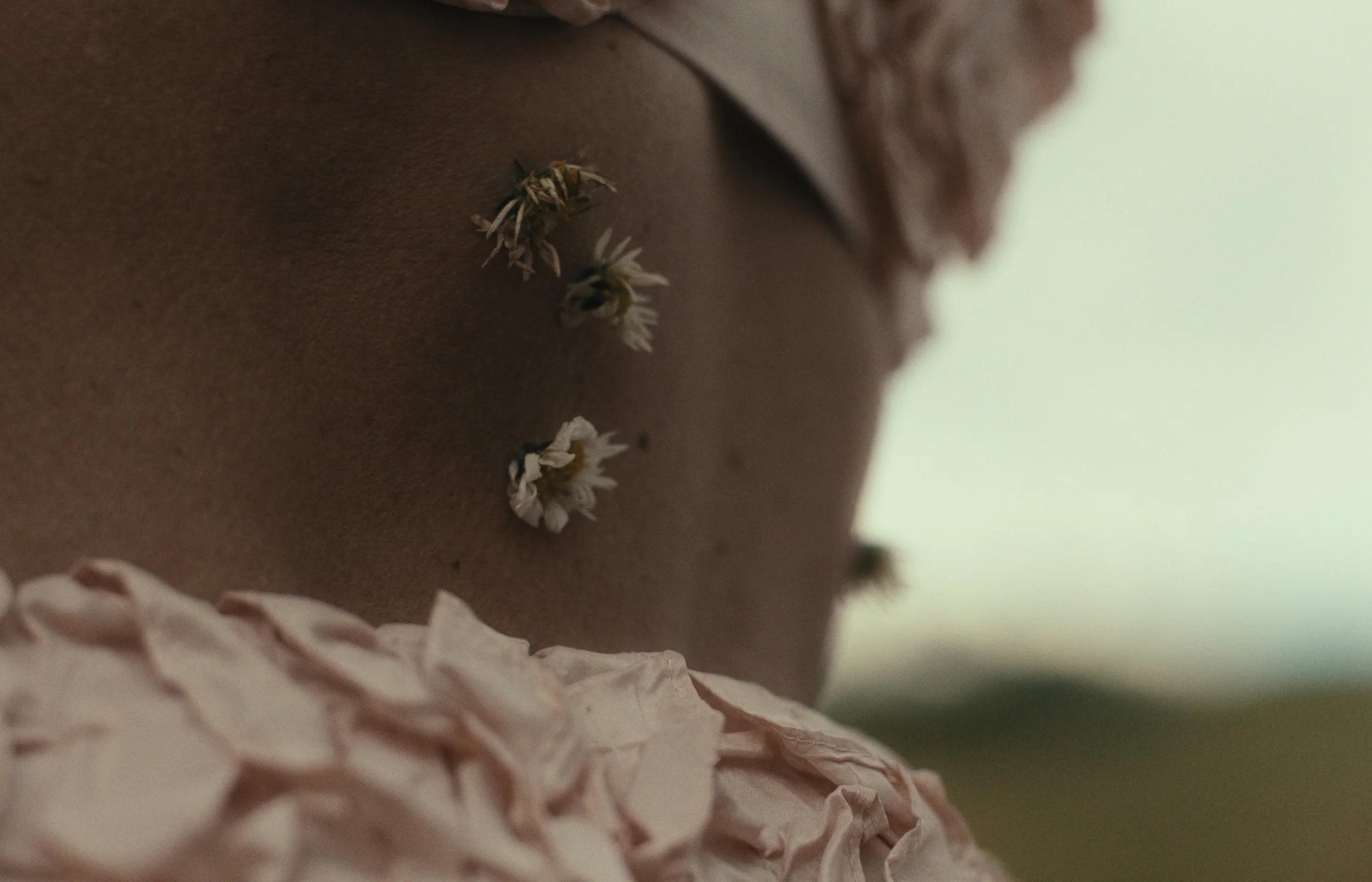 Still 2026-04-26 233249_1.13.1.jpg