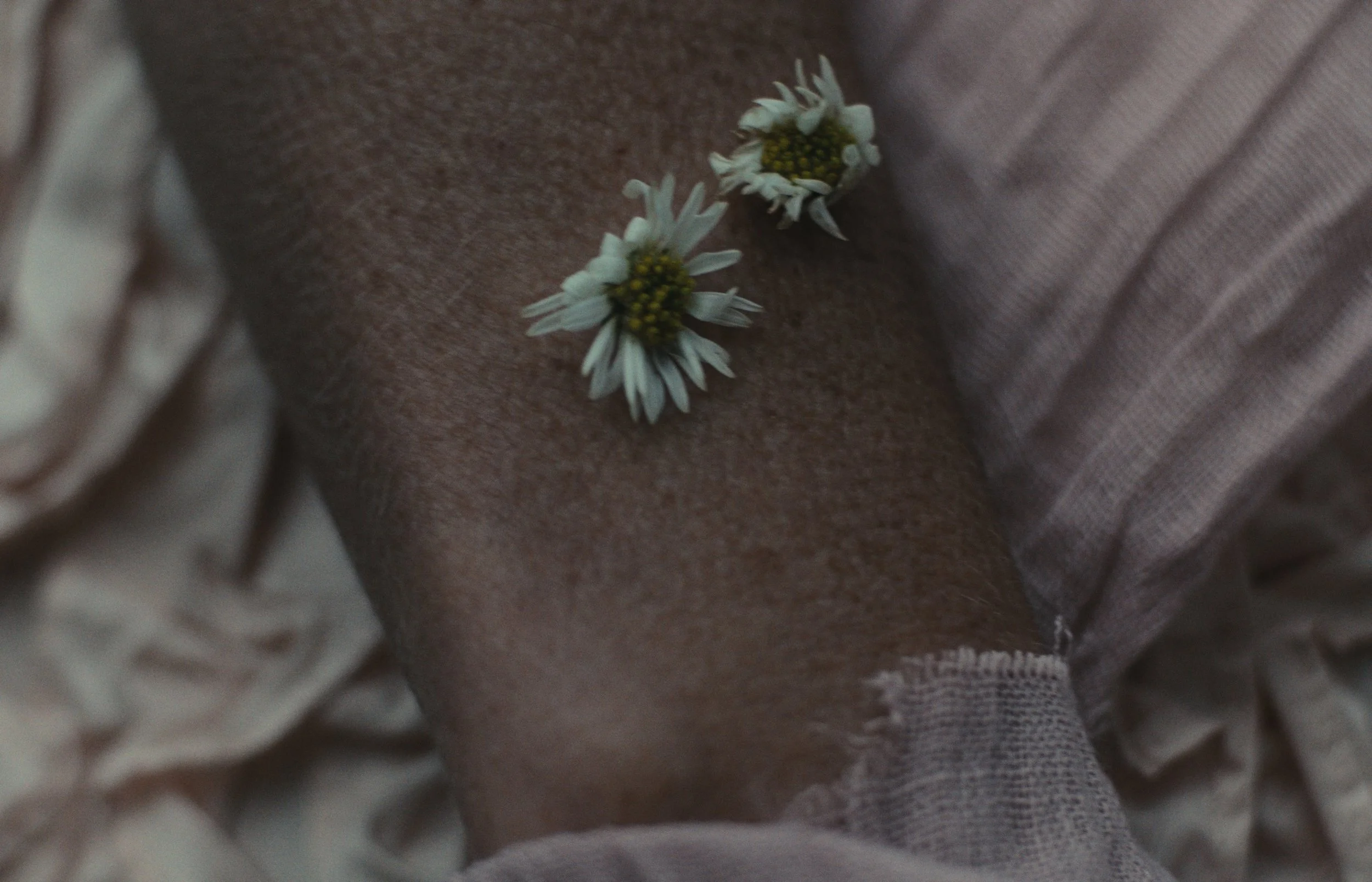 Still 2026-04-26 233249_1.20.1.jpg