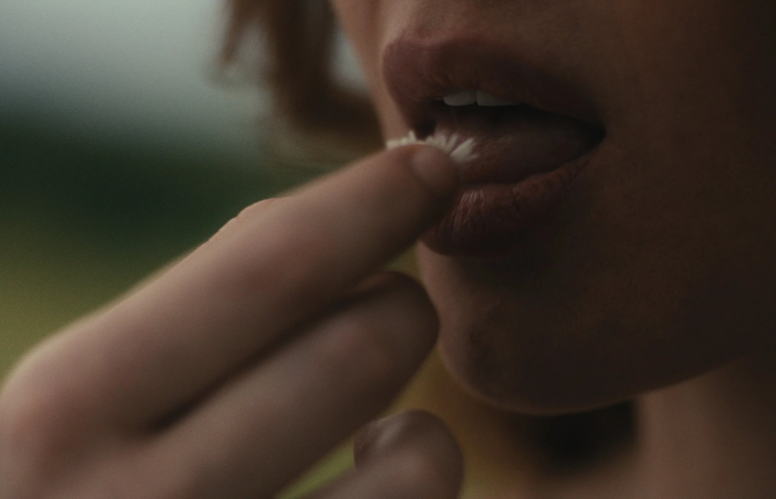 Still 2026-04-26 233249_1.12.1.jpg