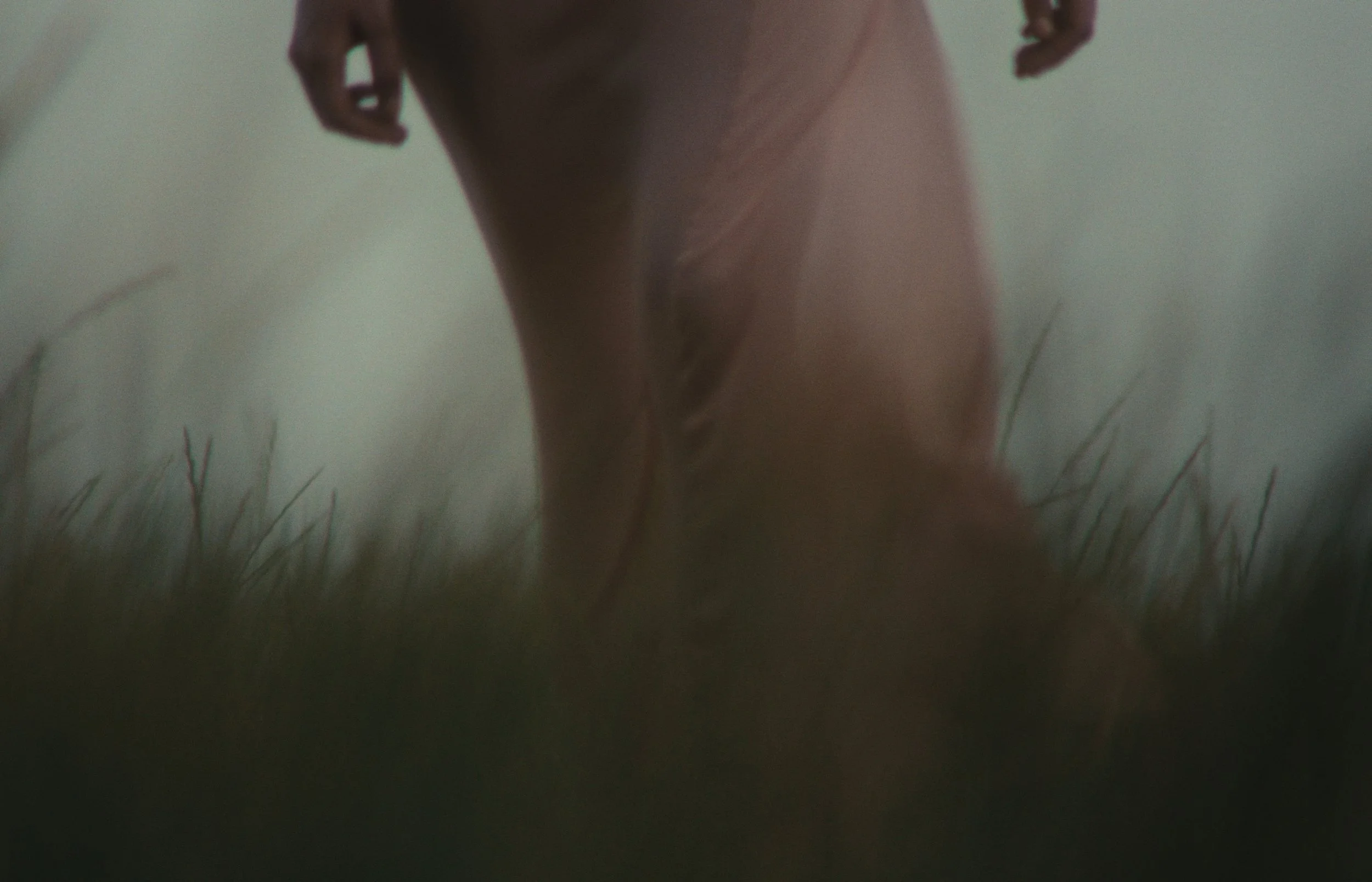 Still 2026-04-26 233249_1.16.1.jpg