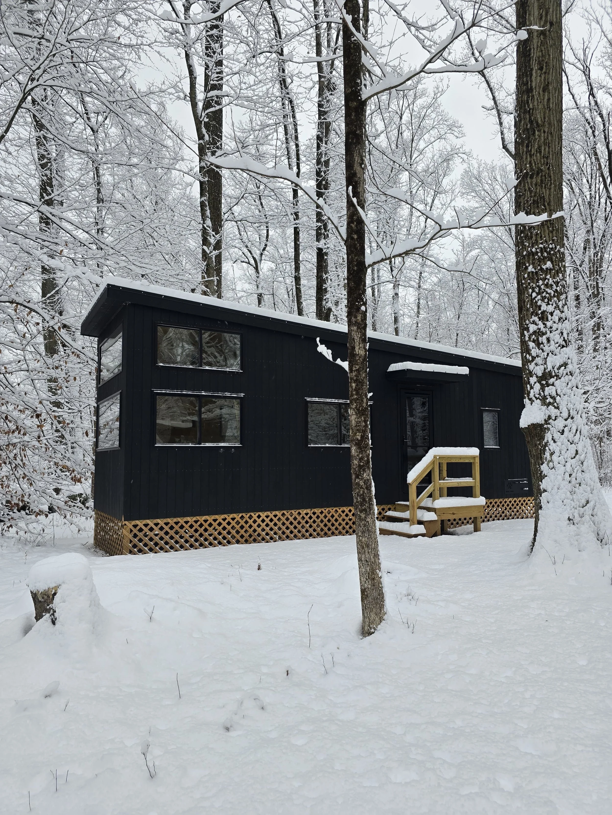 A black wooden tiny house on stilts with a small wooden staircase, set among tall trees and green foliage in a forest.