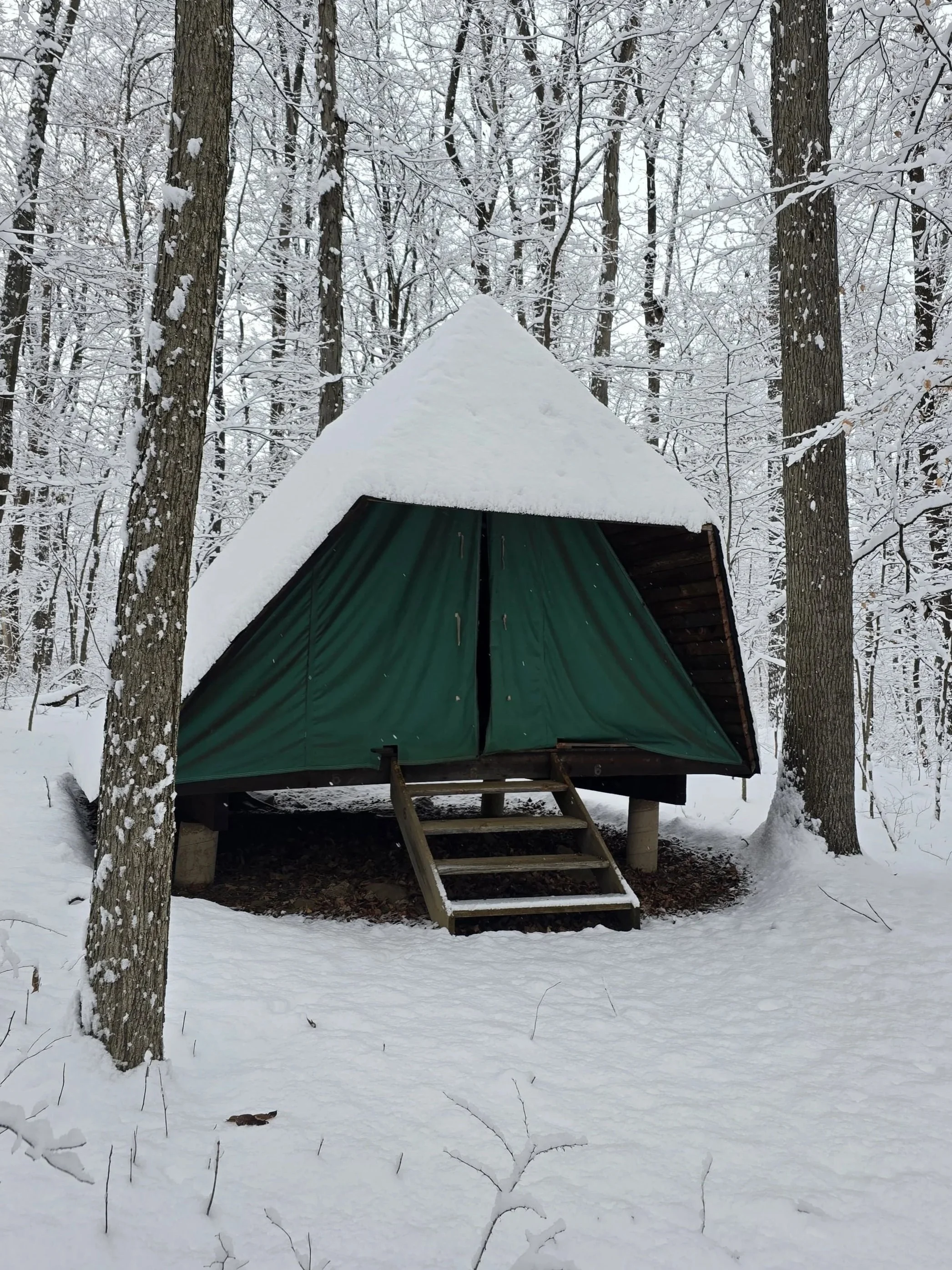 A small wooden A-frame cabin with an open front, beige curtains tied back, and steps leading up to the porch surrounded by green trees.