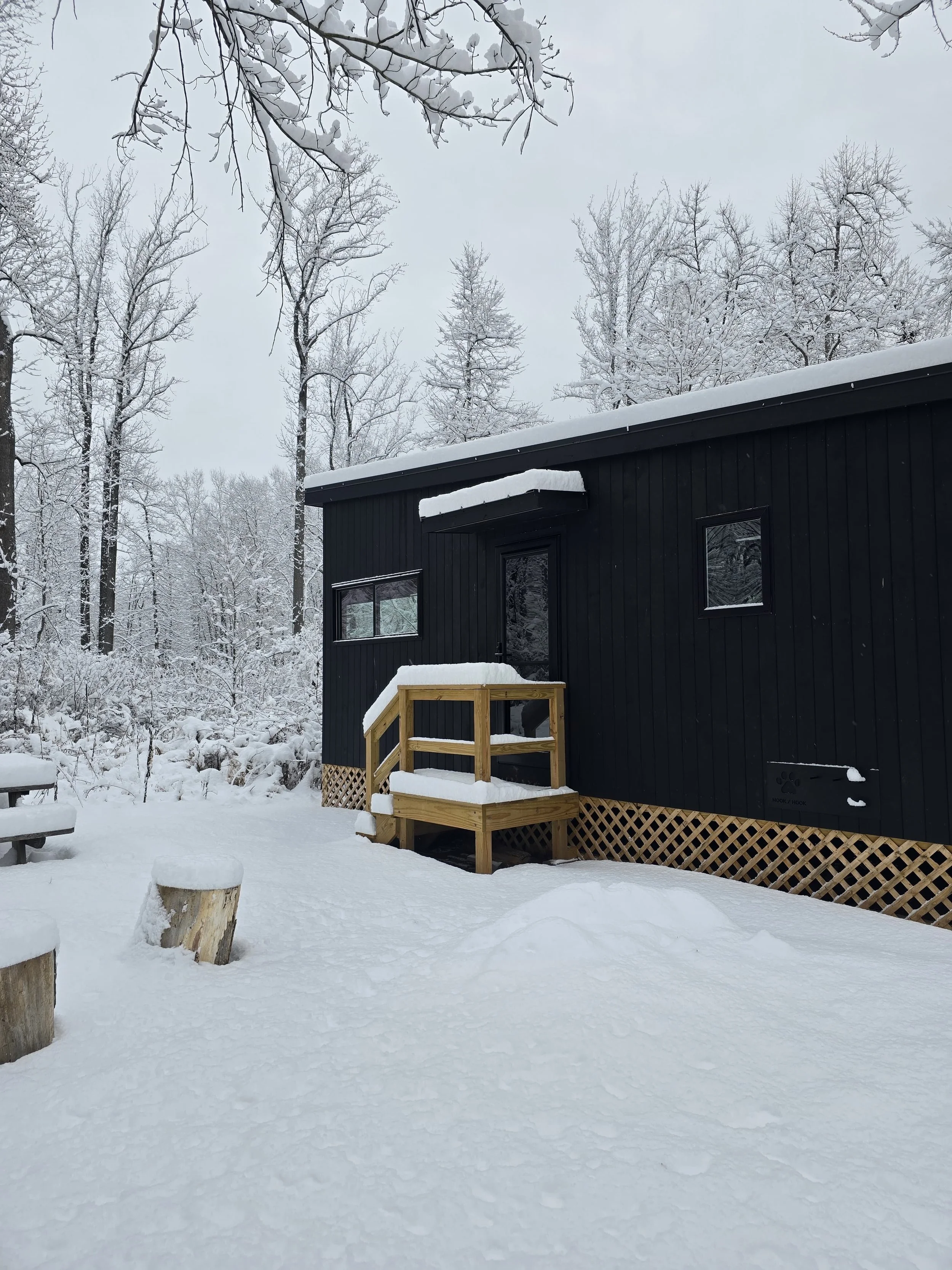 Black tiny house with a small wooden front porch and lattice foundation, surrounded by green trees and plants.