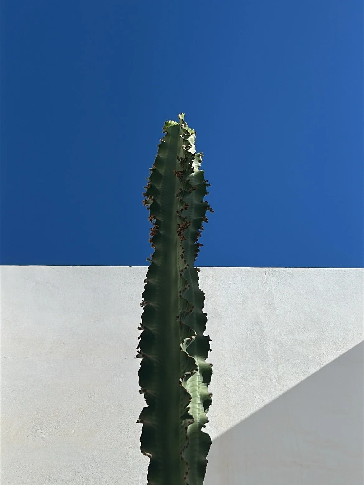 Retour sur notre retraite d&rsquo;amour &agrave; Taghazout ❤️🇲🇦

Une parenth&egrave;se hors du temps, 
Organis&eacute;e avec le c&oelig;ur, remplie de rires, de douceur, de mouvement et d&rsquo;&eacute;nergie.
Entre terre et oc&eacute;an, nous avon