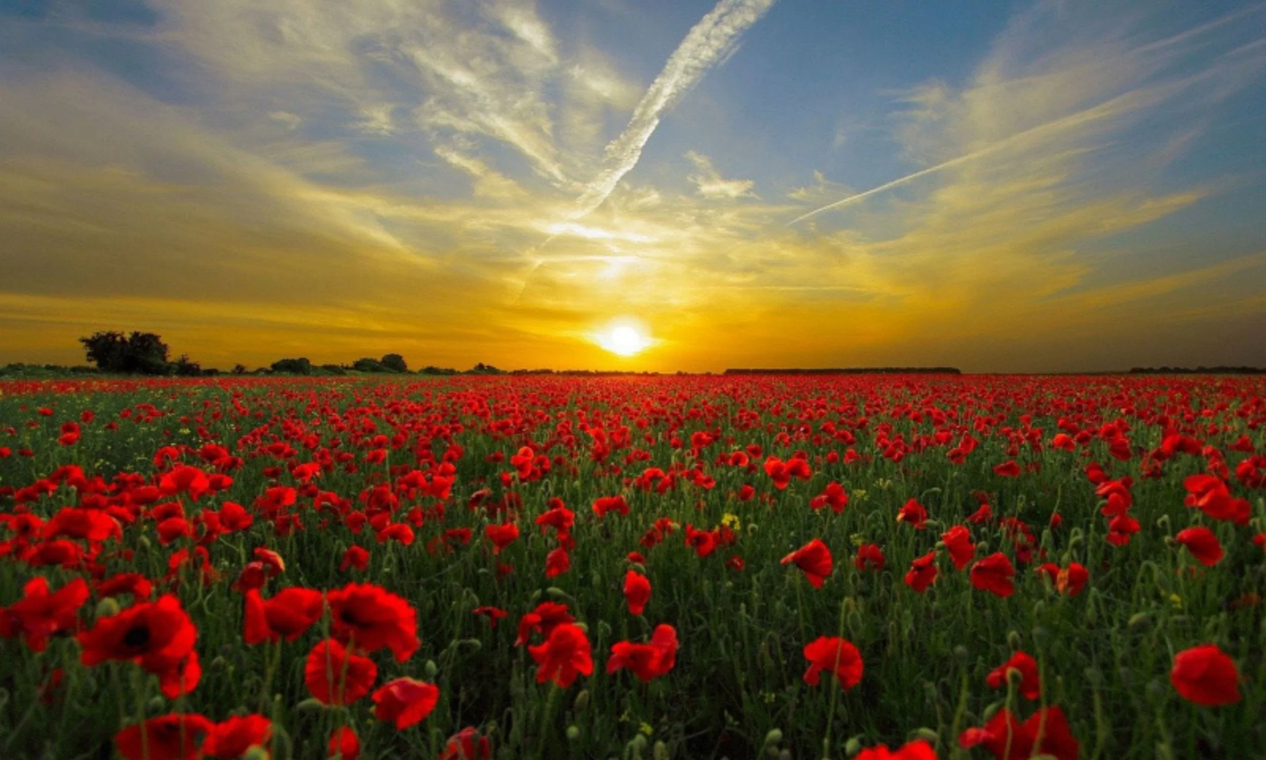 3 EFT Tapping Scripts for Abundance