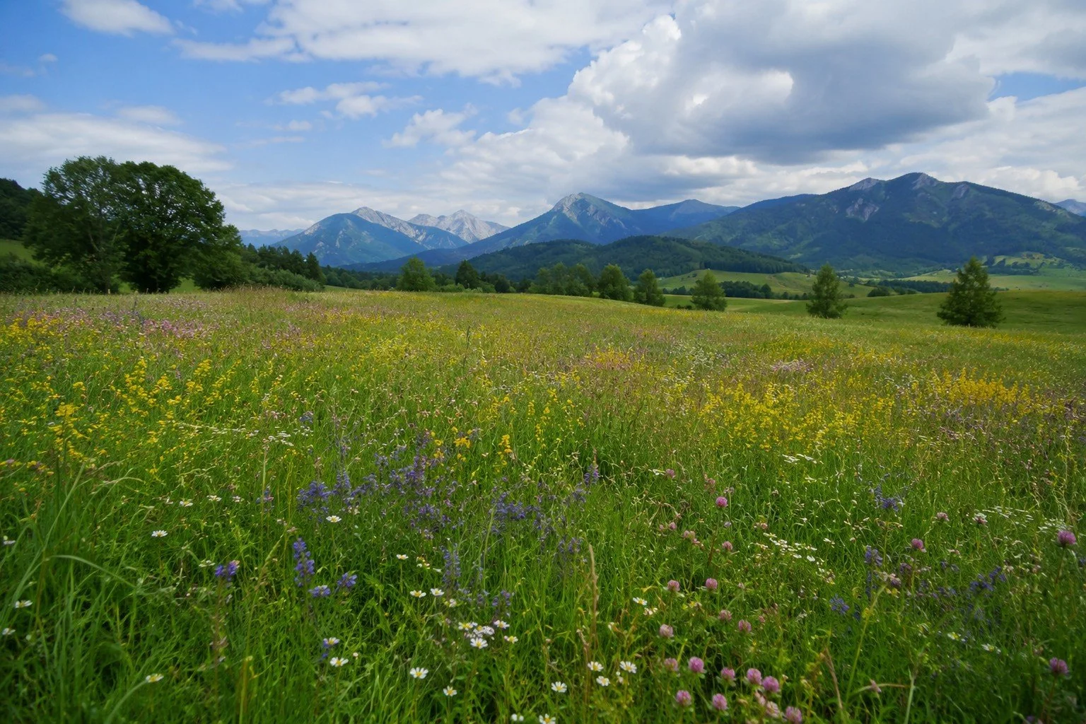 The Gaia Effect: Rediscovering Your Living Relationship with the Earth