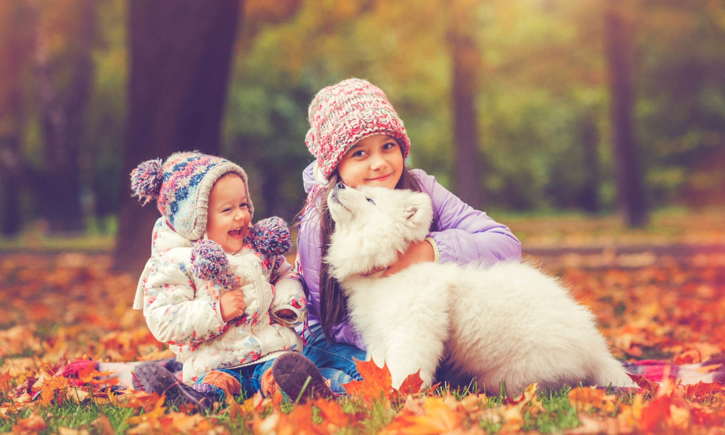 The Soul of a Pet: Love, Reincarnation, and the Bonds That Never Die