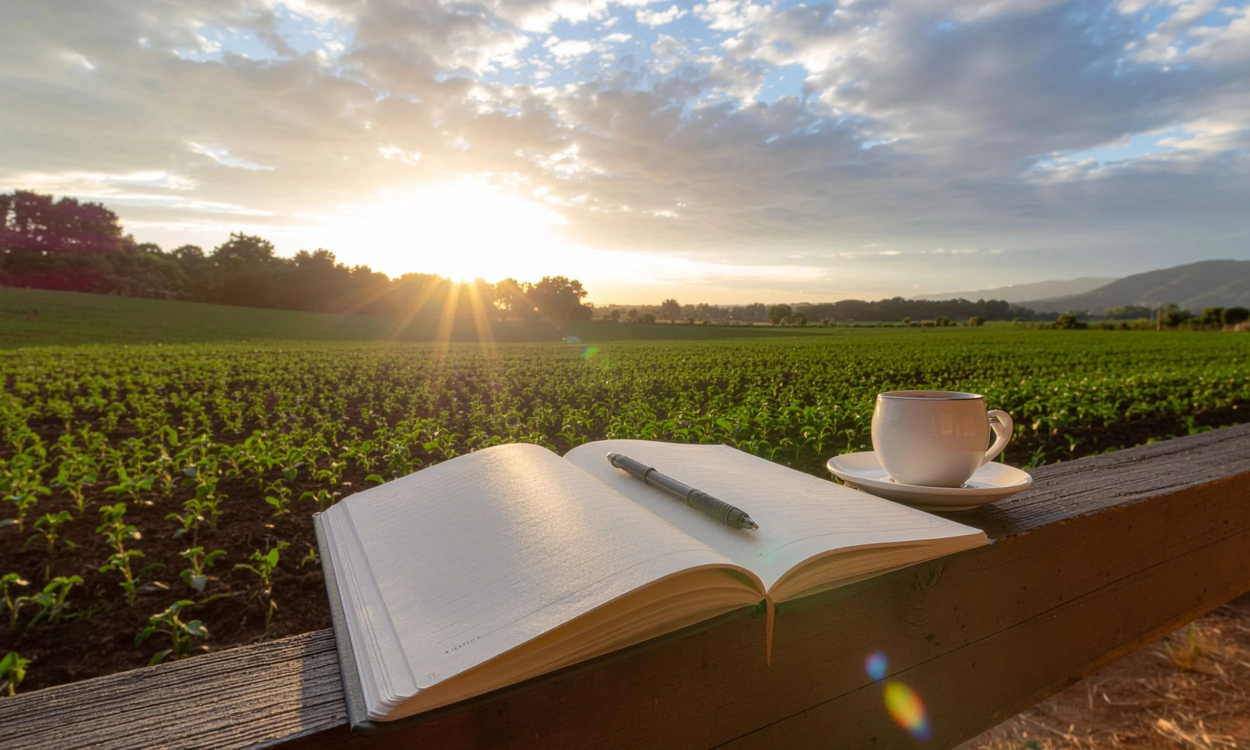 Looking Back to Move Forward: Reflecting on a 9-Year Cycle