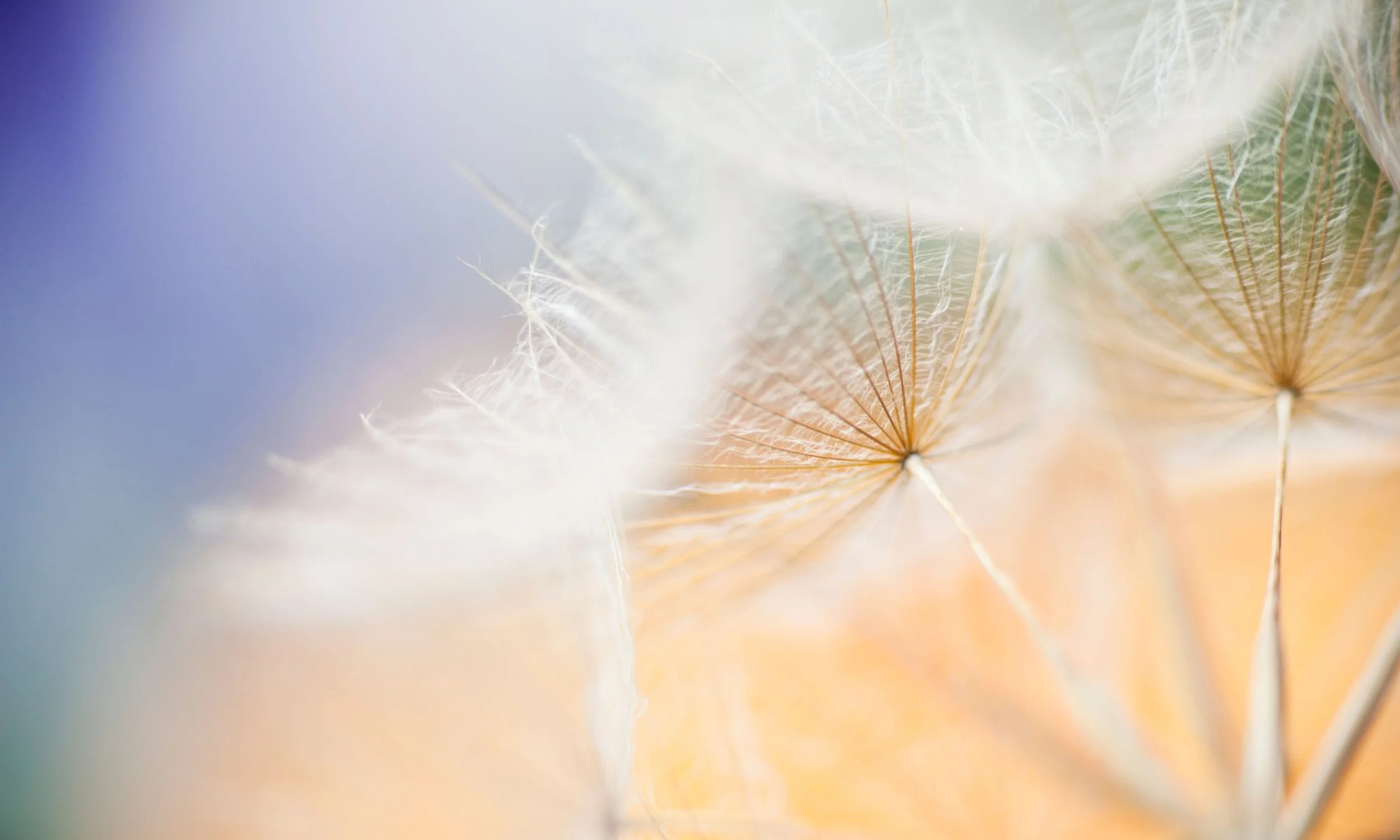 5 Resources to Help You Unlock Your Soul’s Potential