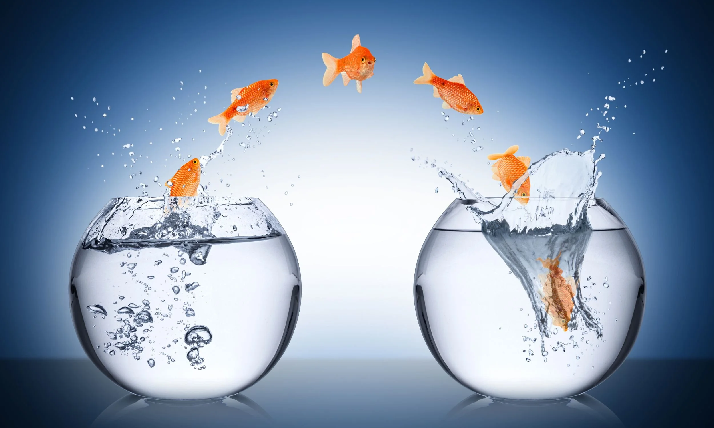 How You Might Be Experiencing the Shift (and What to Do About It)
